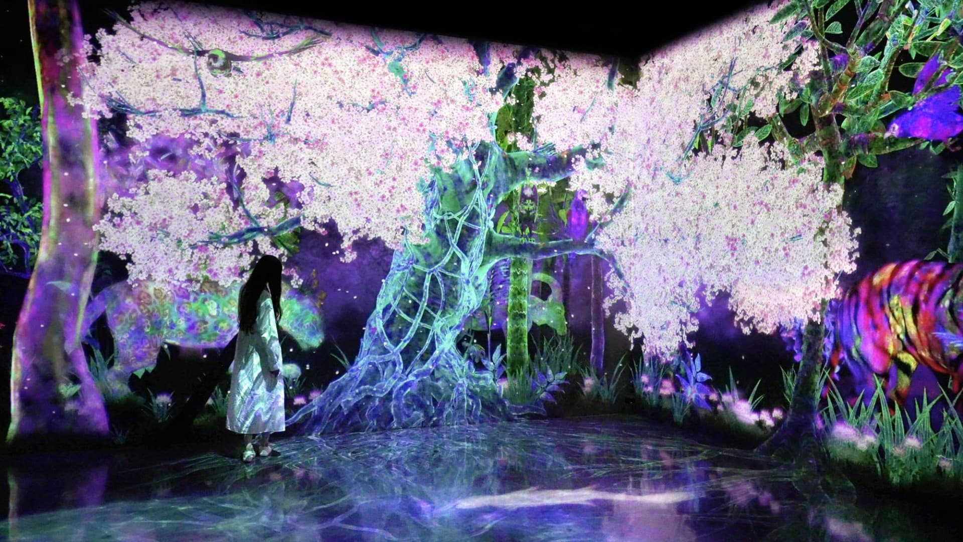 teamLab Forest Fukuoka - تصویر اصلی