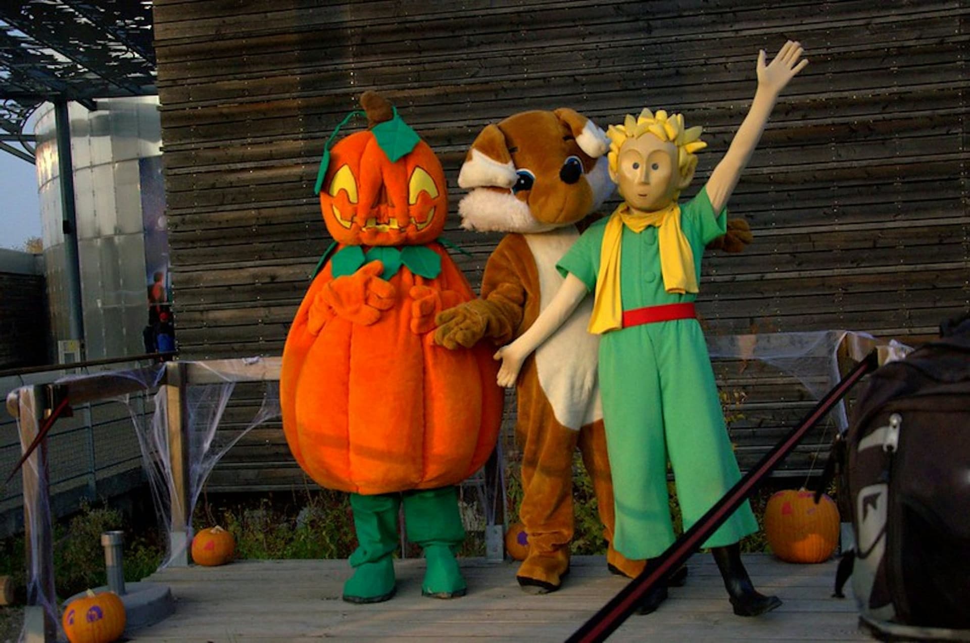 Le Parc du Petit Prince: Fast Track Ticket - تصویر 6