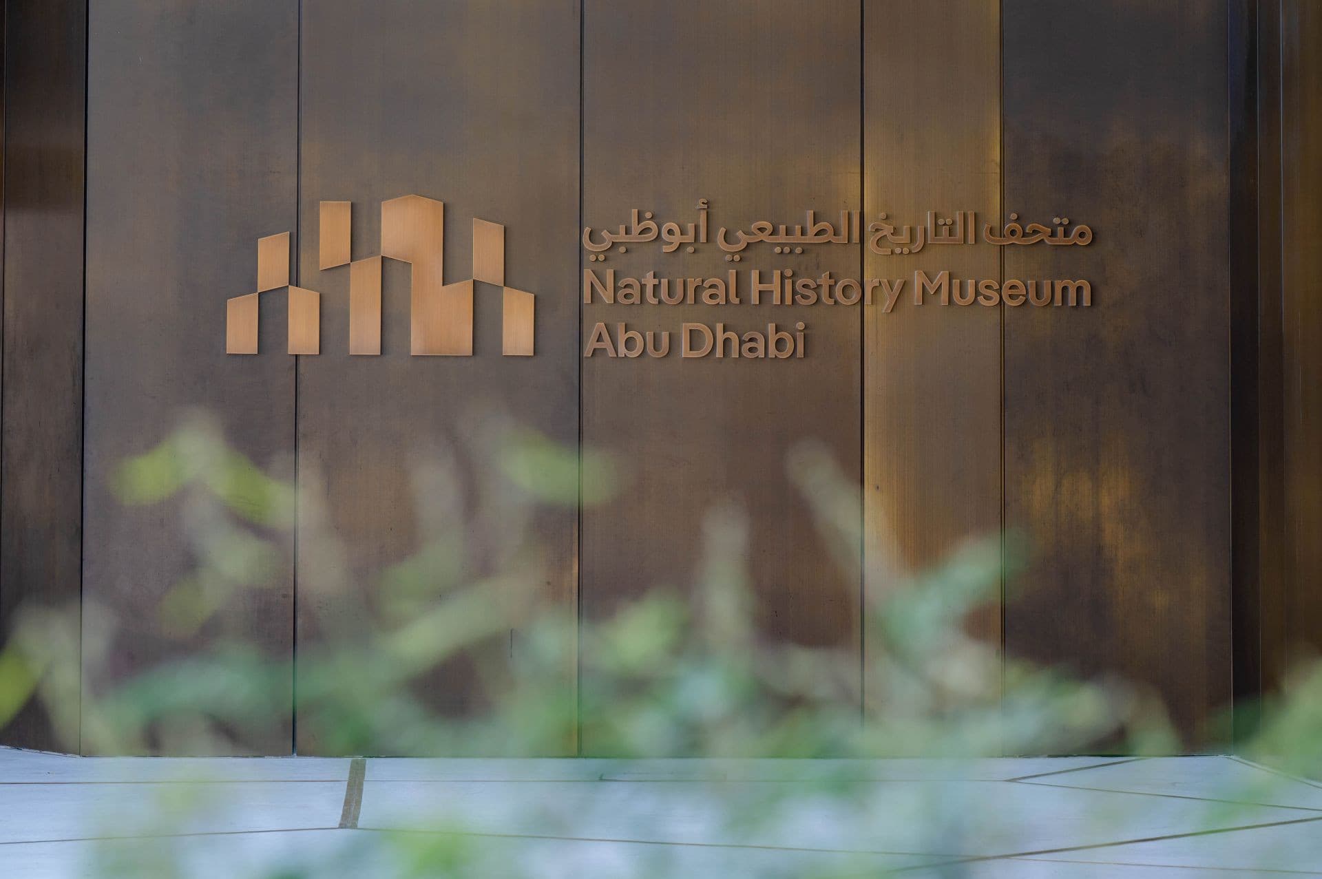 Natural History Museum Abu Dhabi Ticket - تصویر 6