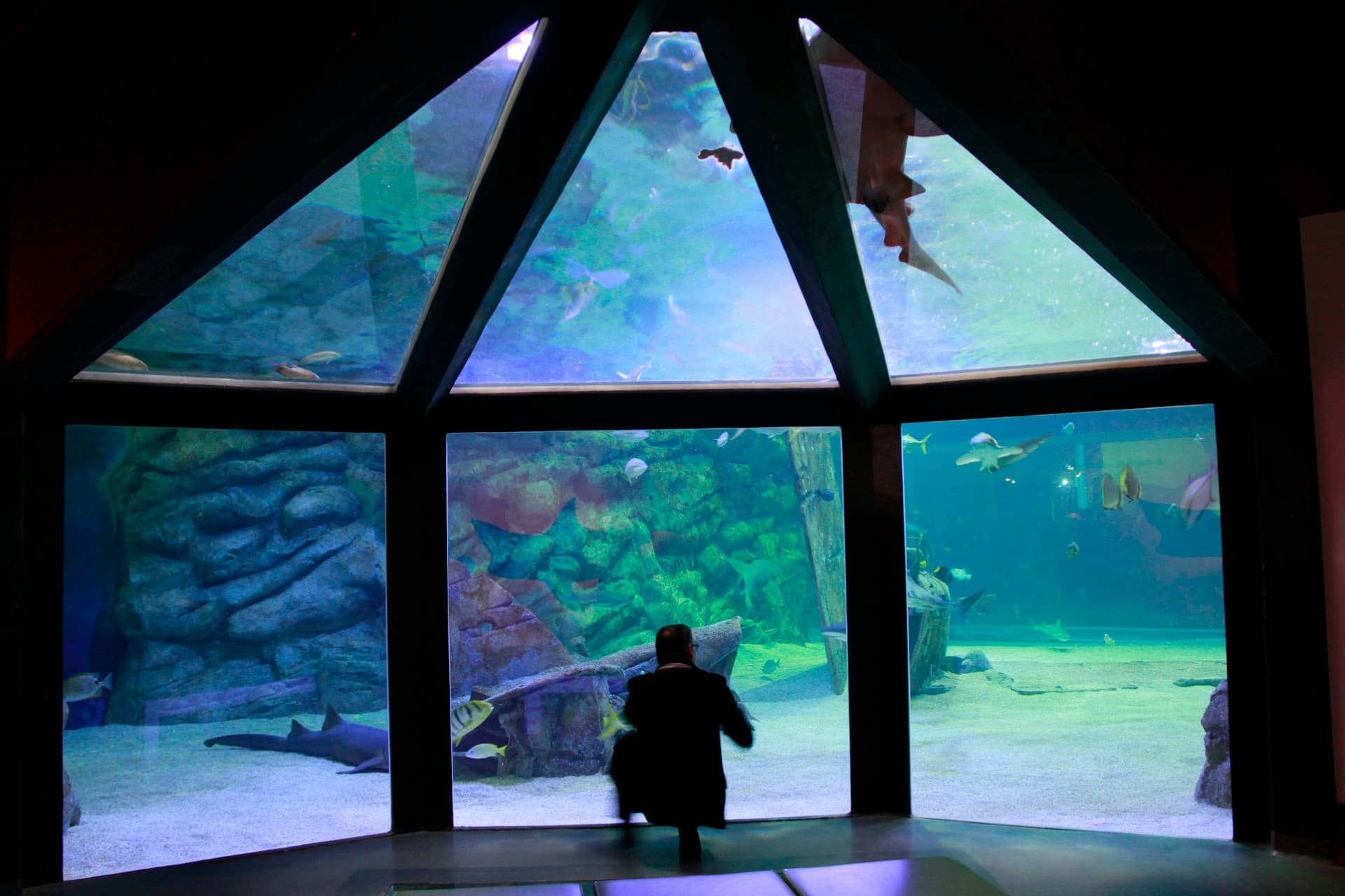 Seaquarium Le Grau-du-Roi Ticket - تصویر 8