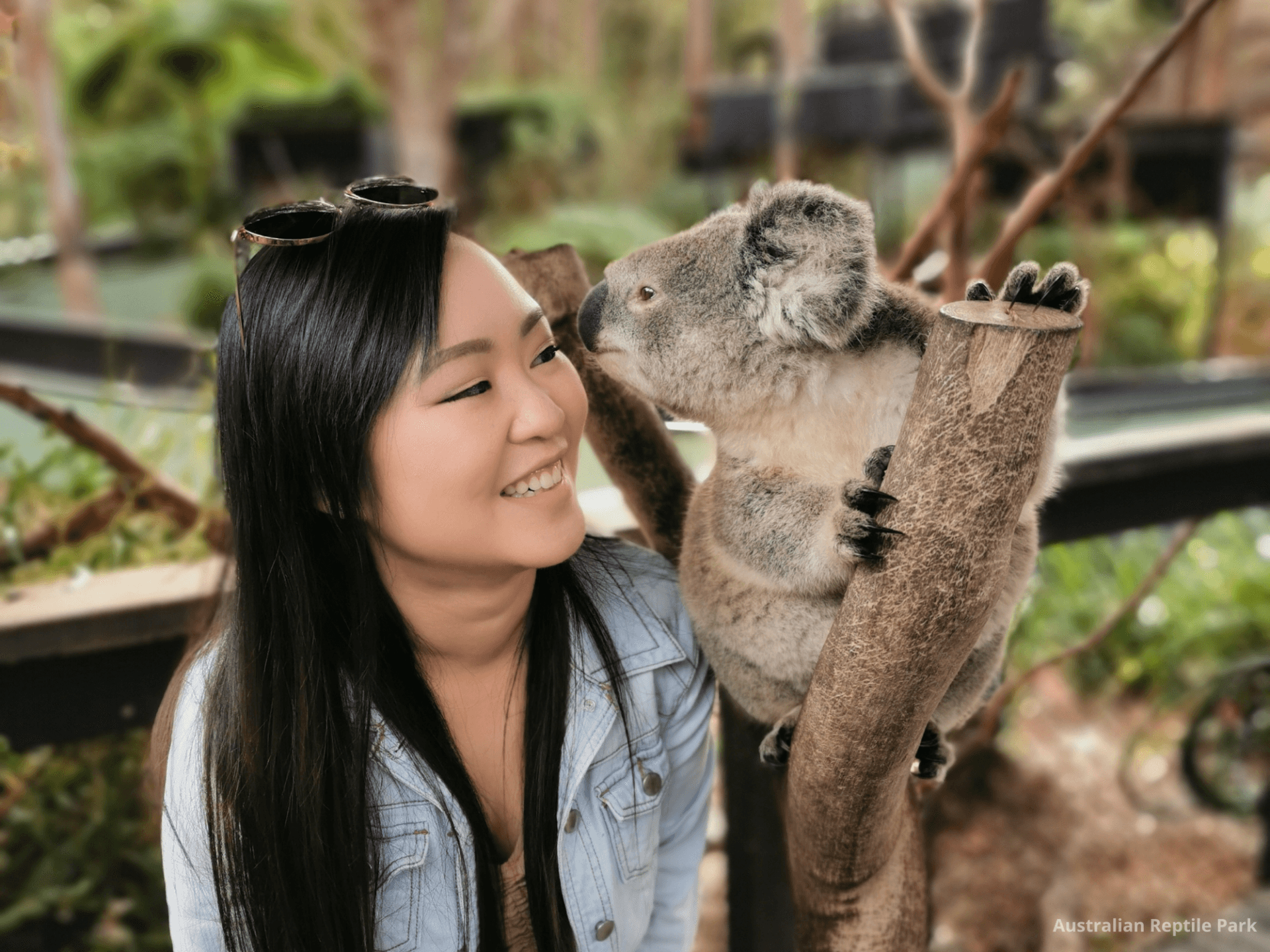 Australian Reptile Park - تصویر 25