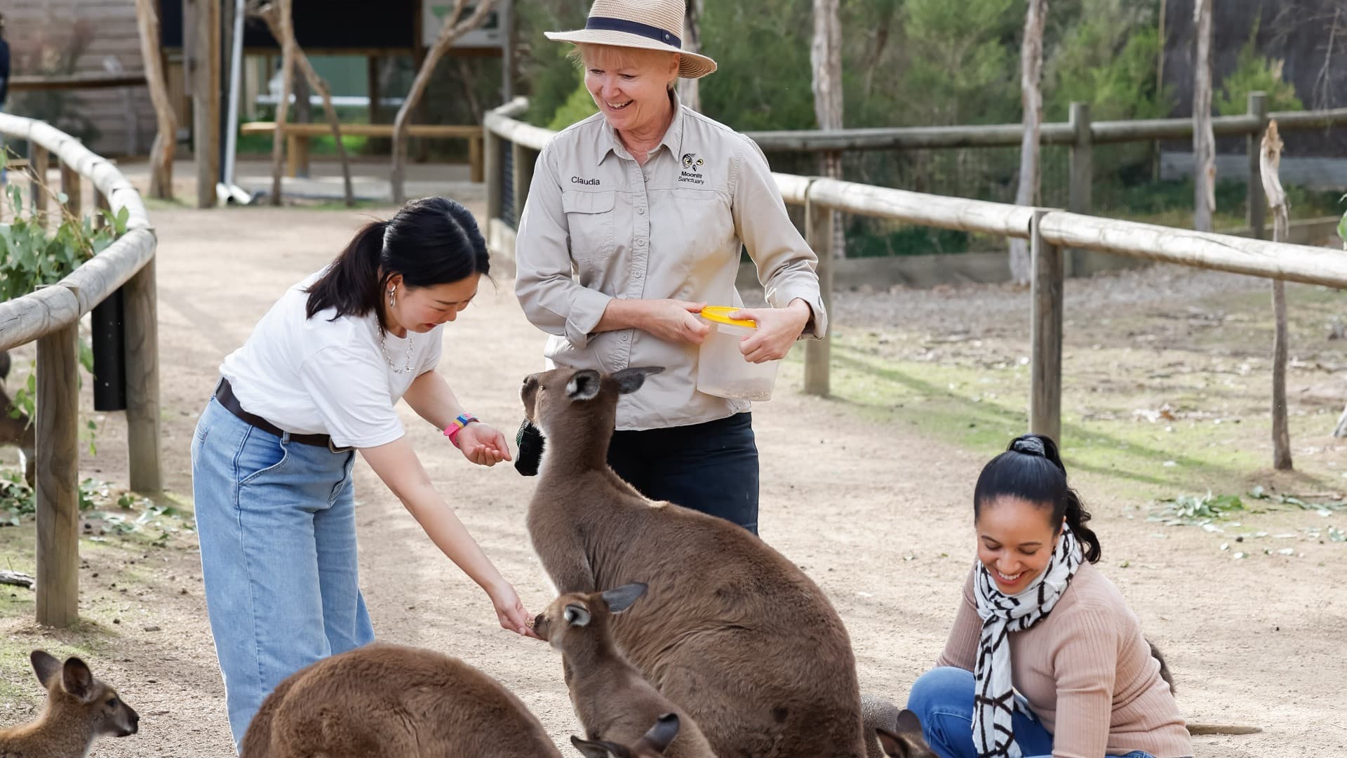 Moonlit Sanctuary Wildlife Conservation Park Ticket - تصویر 4