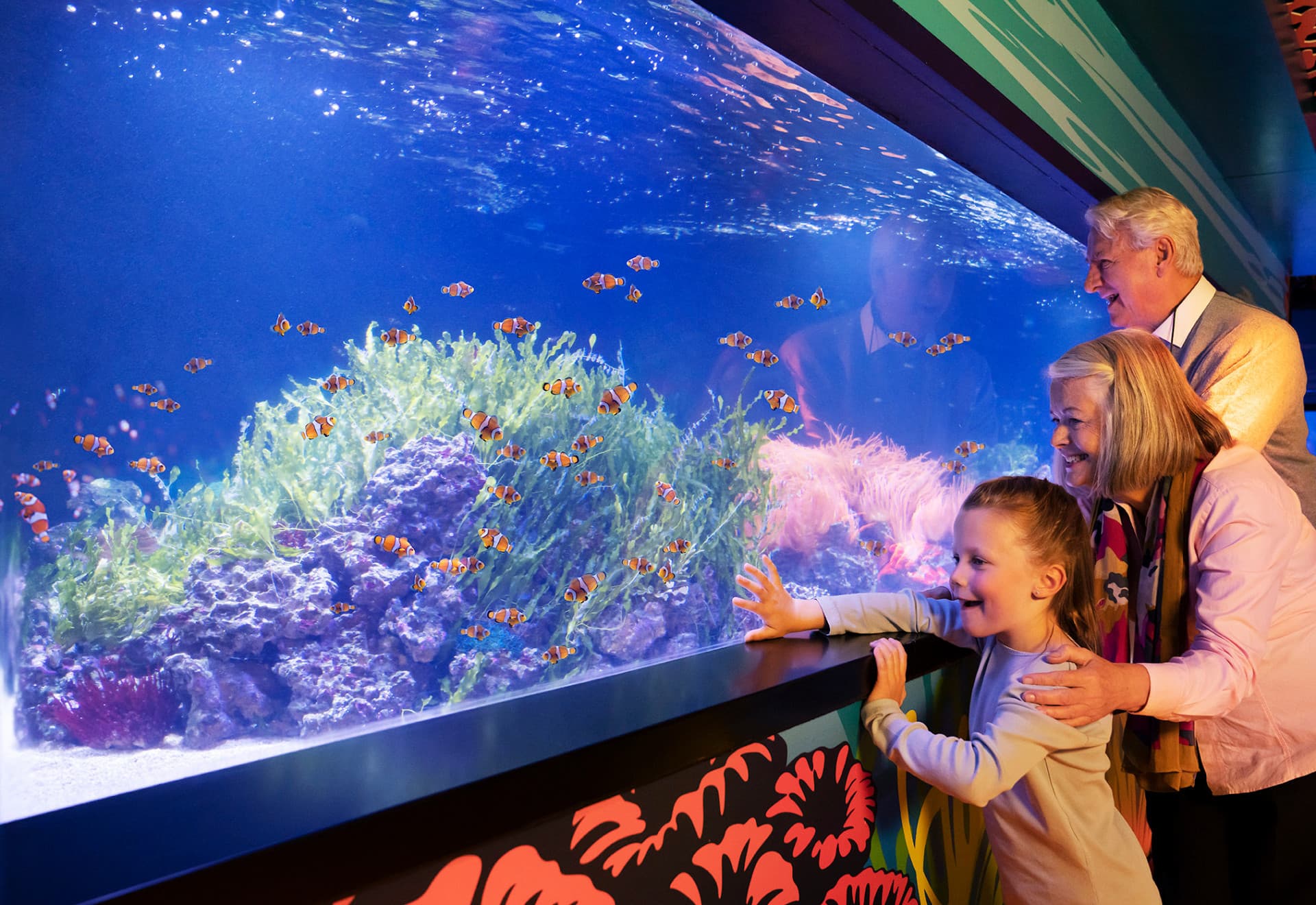 SEA LIFE London Aquarium Ticket - تصویر اصلی