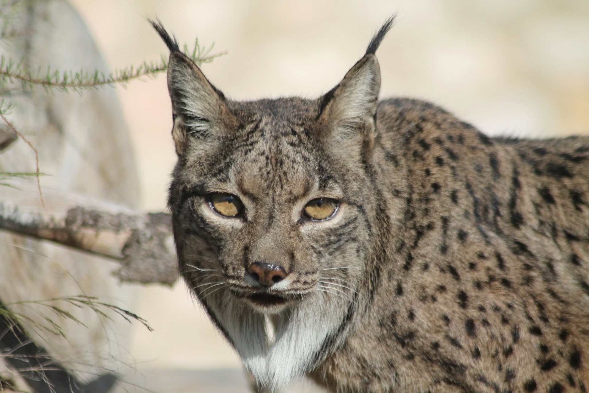Terra Natura Murcia Ticket - تصویر 7