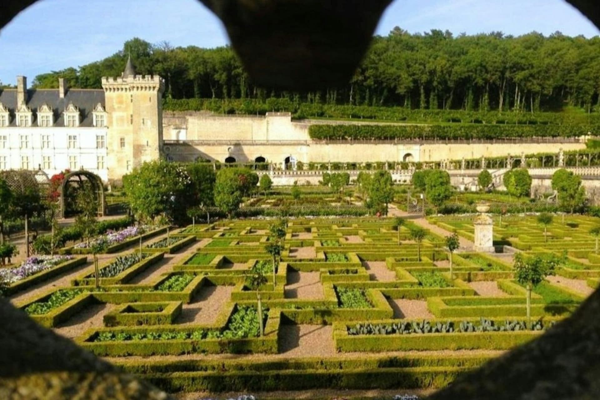 Chateau d'Azay-le-Rideau & Gardens of Villandry: Guided Trip from Tours - تصویر 3