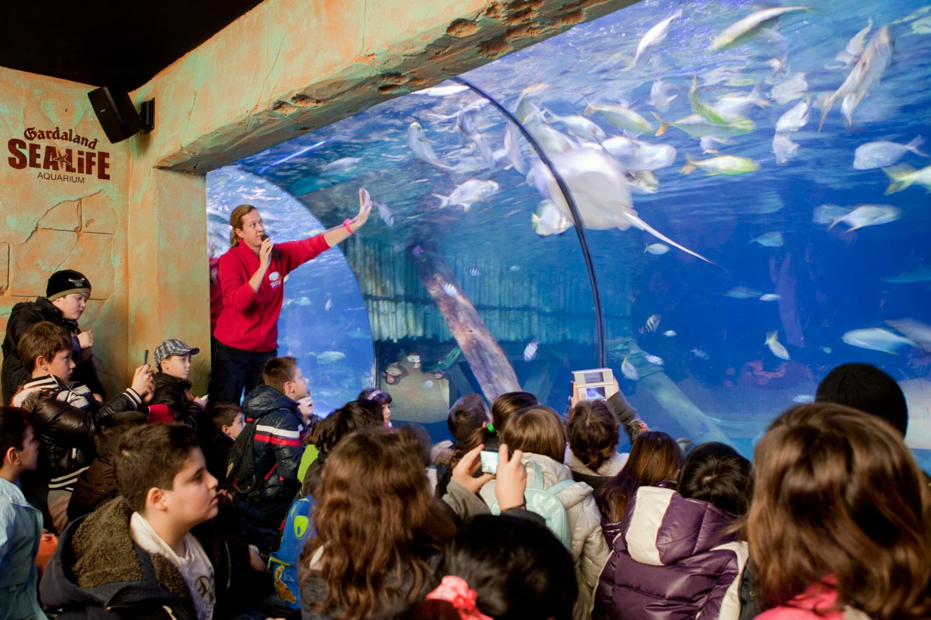 Gardaland SEA LIFE Aquarium Ticket - تصویر 9