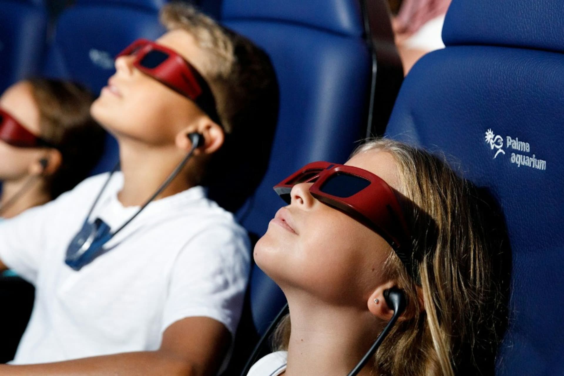 Palma Aquarium: Skip The Line Ticket + Optional 3D Cinema Aquadome - تصویر 4