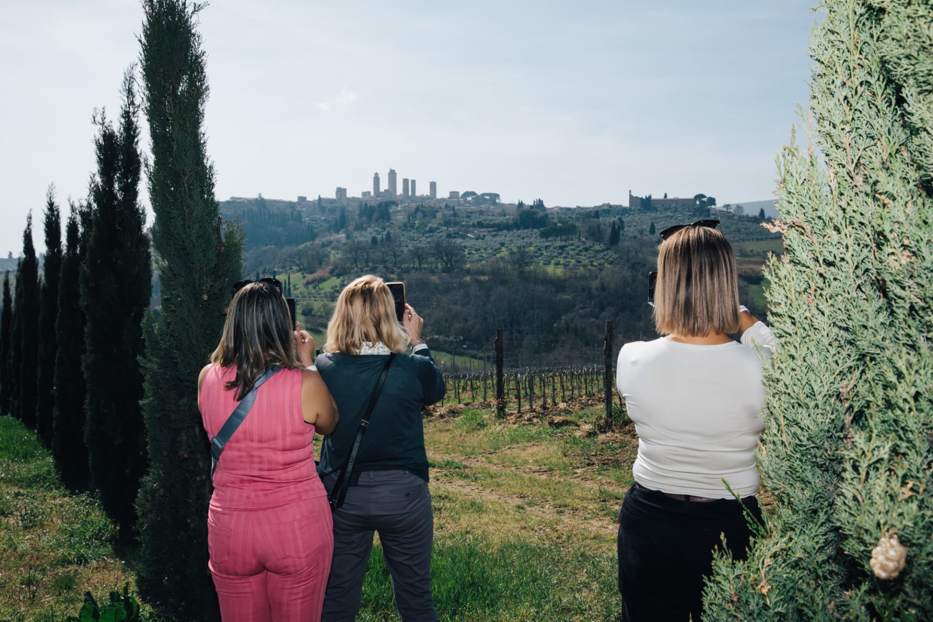 Tuscany Full-Day Tour from Florence: Pisa, Chianti, San Gimignano, Siena - تصویر 6