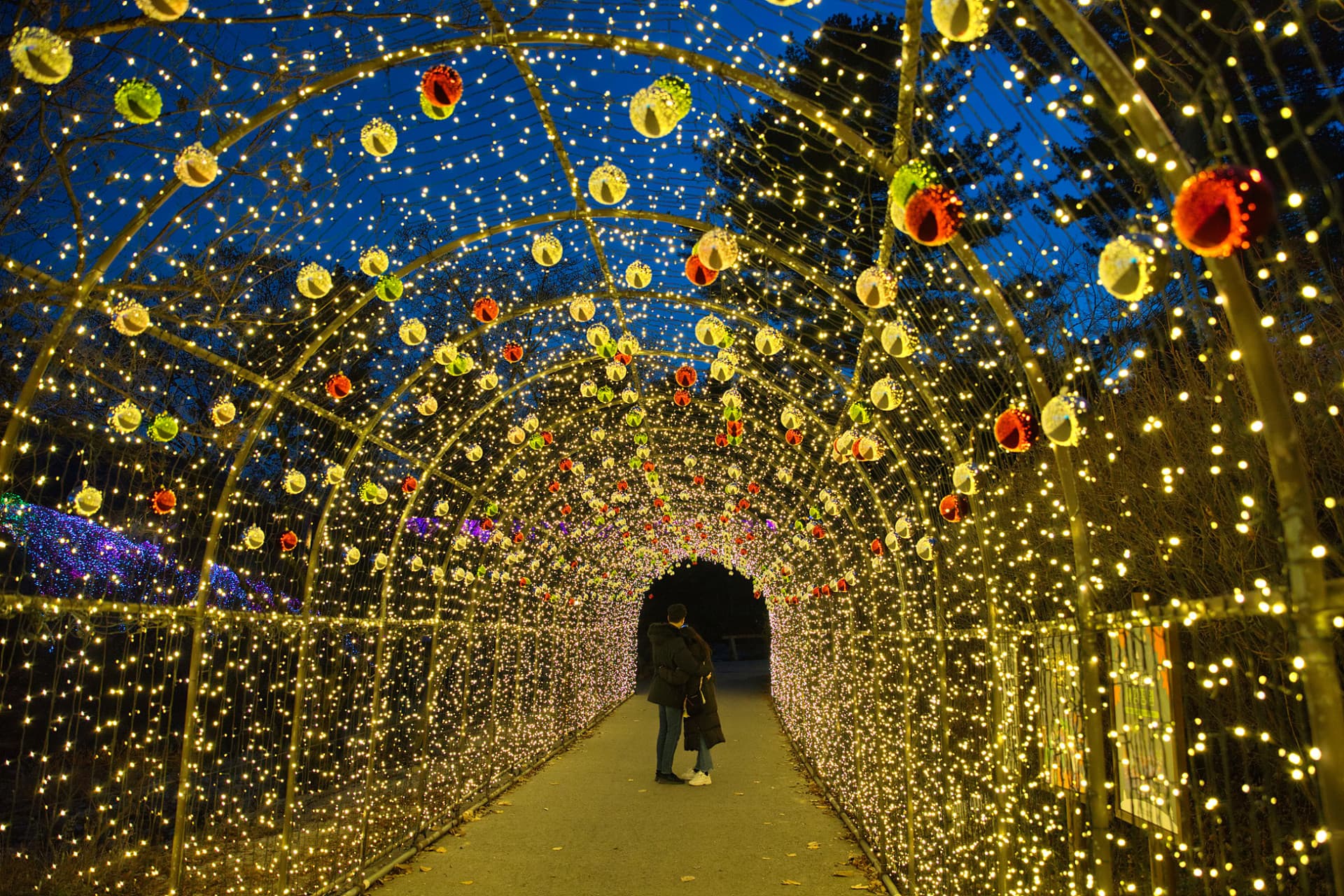 Nami Island, Mount Seorak, and Garden of Morning Calm Full-Day Tour from Seoul - تصویر 10