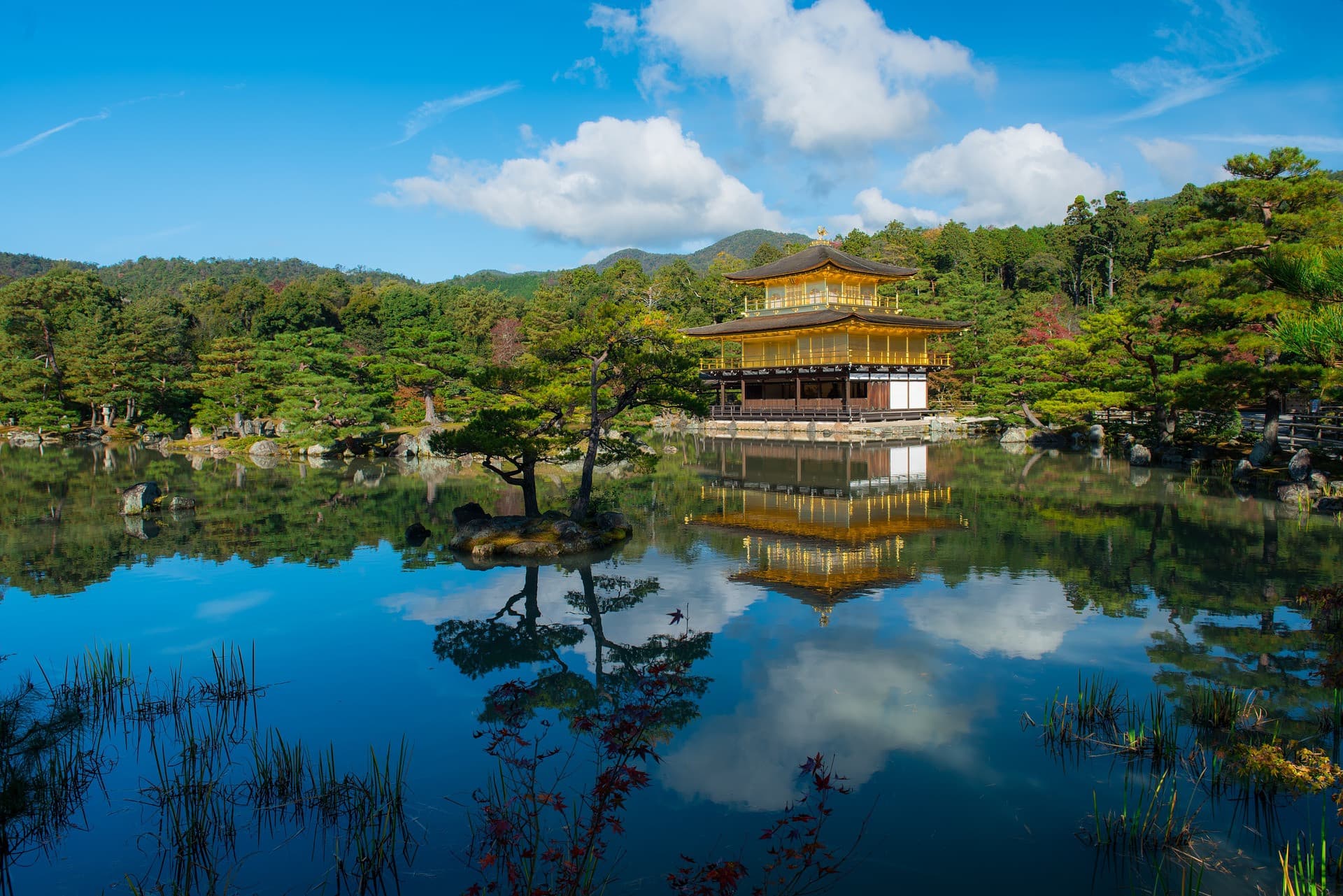 Kyoto and Nara Full-Day Tour from Kyoto - تصویر 3