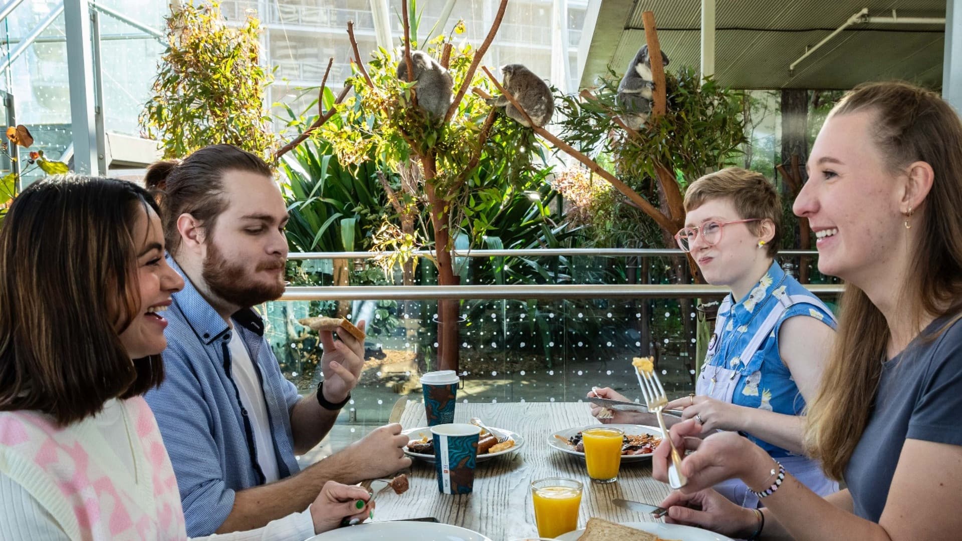 Breakfast with the Koalas at WILD LIFE SYDNEY - تصویر اصلی