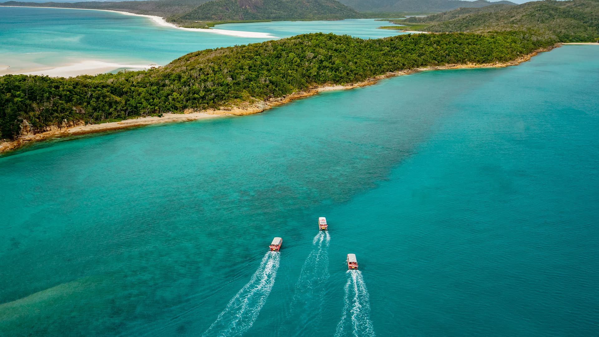 Thundercat Catamaran Whitsundays Islands Tour - تصویر 5