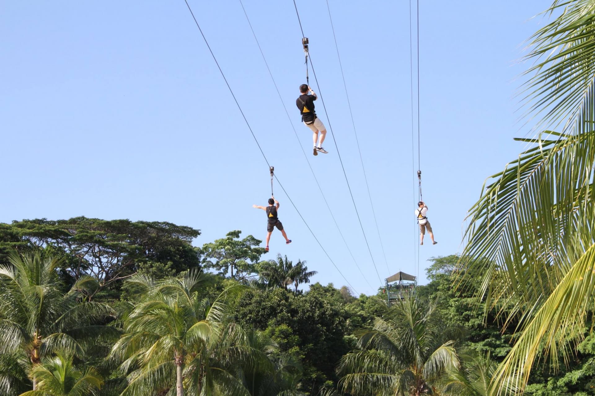 COMBO: Singapore Cable Car + MegaZip at Mega Adventure Park - تصویر 6