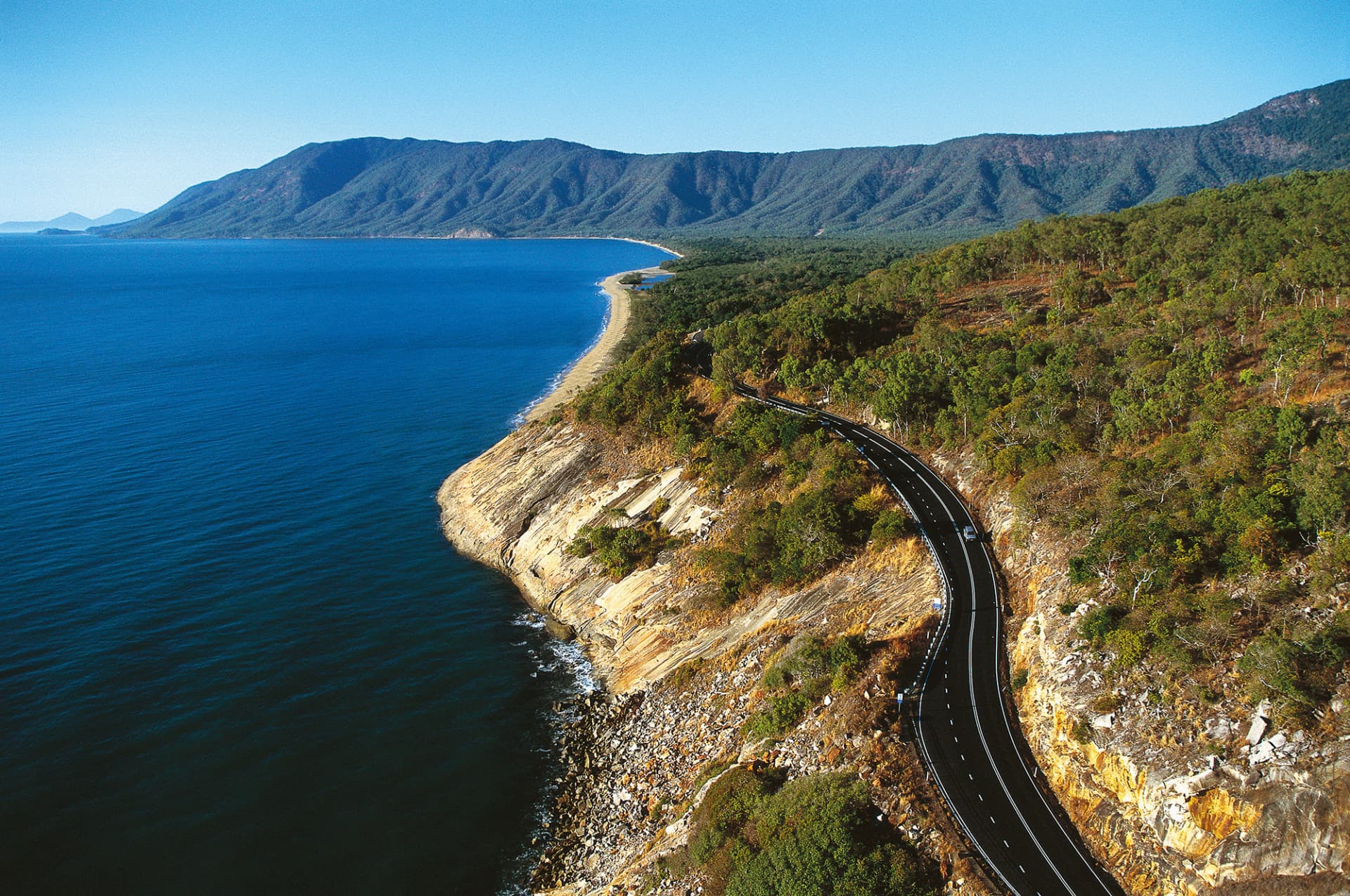 Cape Tribulation and Daintree Wilderness Full-Day Tour - تصویر 3