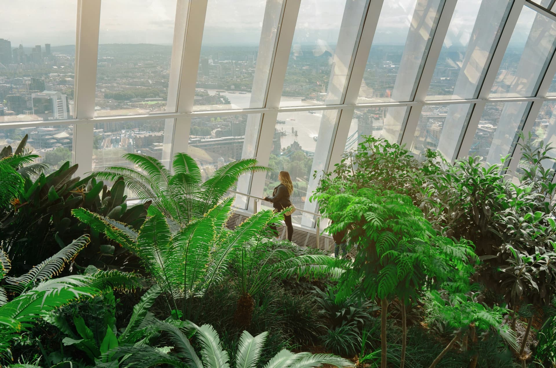 Sky Garden London Ticket - تصویر 8