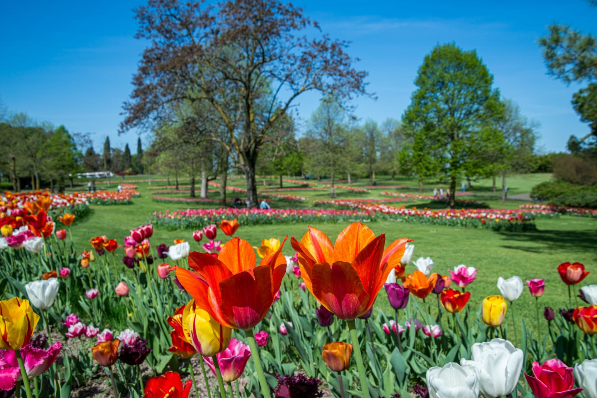 Parco Giardino Sigurtà Ticket - تصویر 11