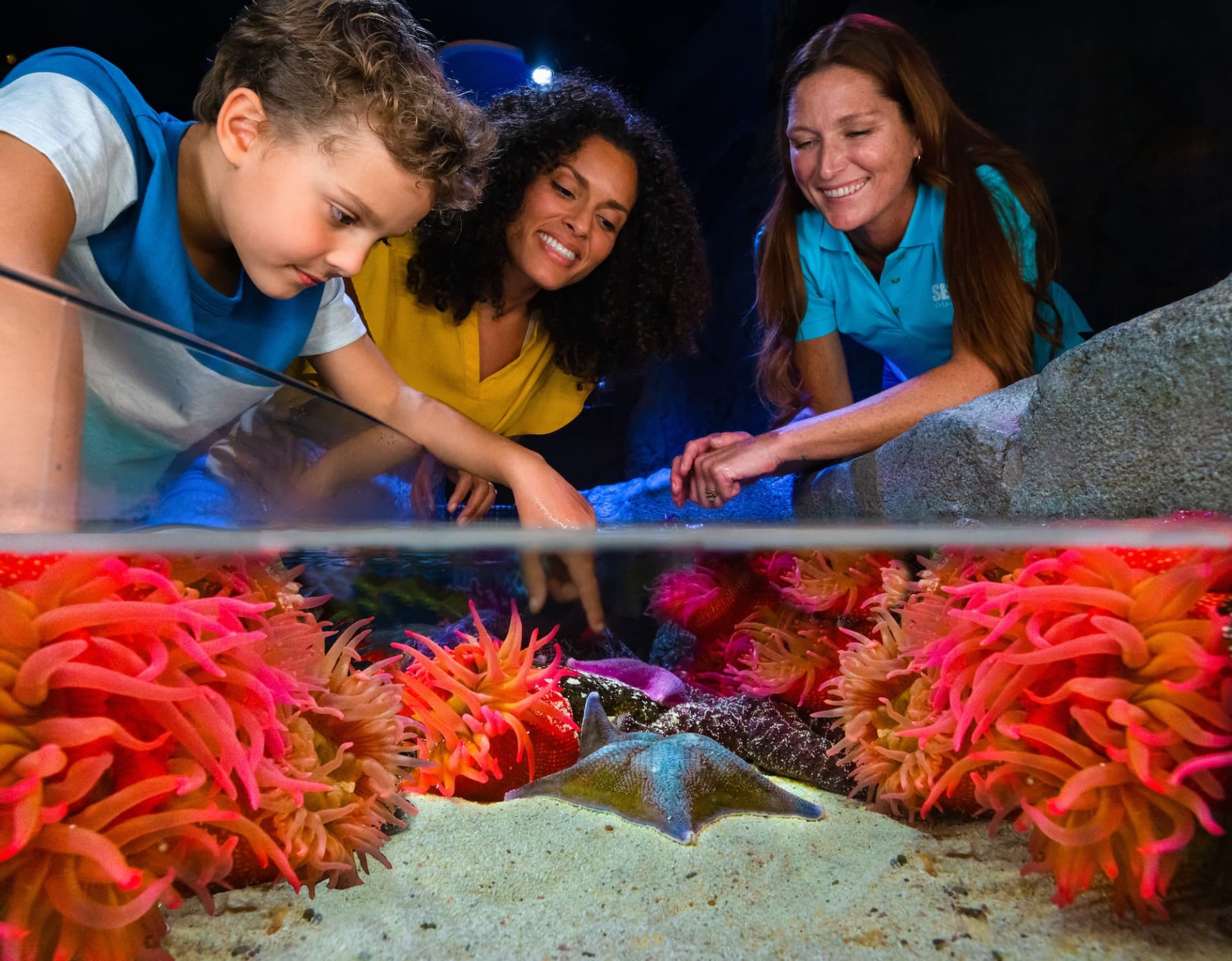 SEA LIFE Orlando Aquarium Ticket - تصویر 3