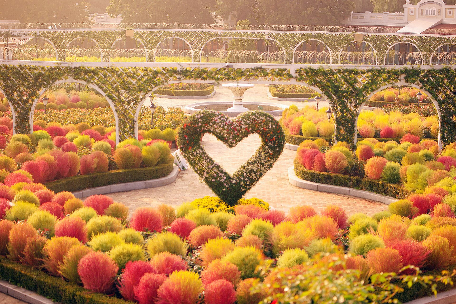 Everland Theme Park Ticket - تصویر 19