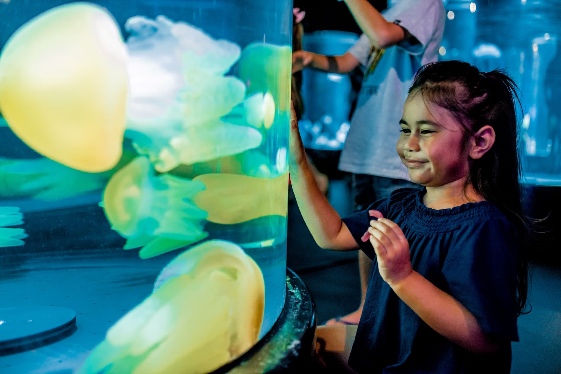 SEA LIFE Sydney Aquarium Direct Entry Ticket - تصویر 2