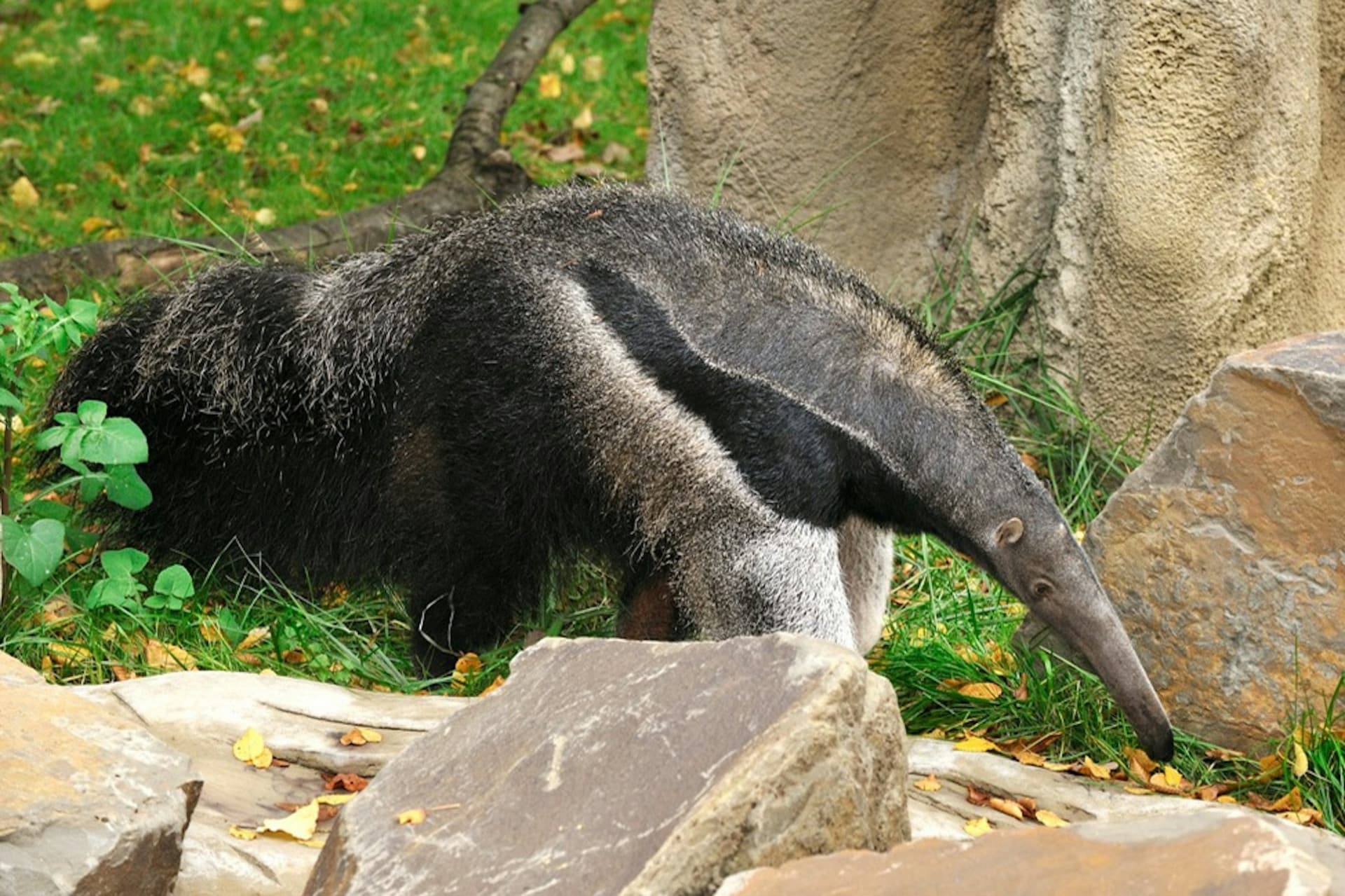 Cologne Zoo & Aquarium Ticket - تصویر 6