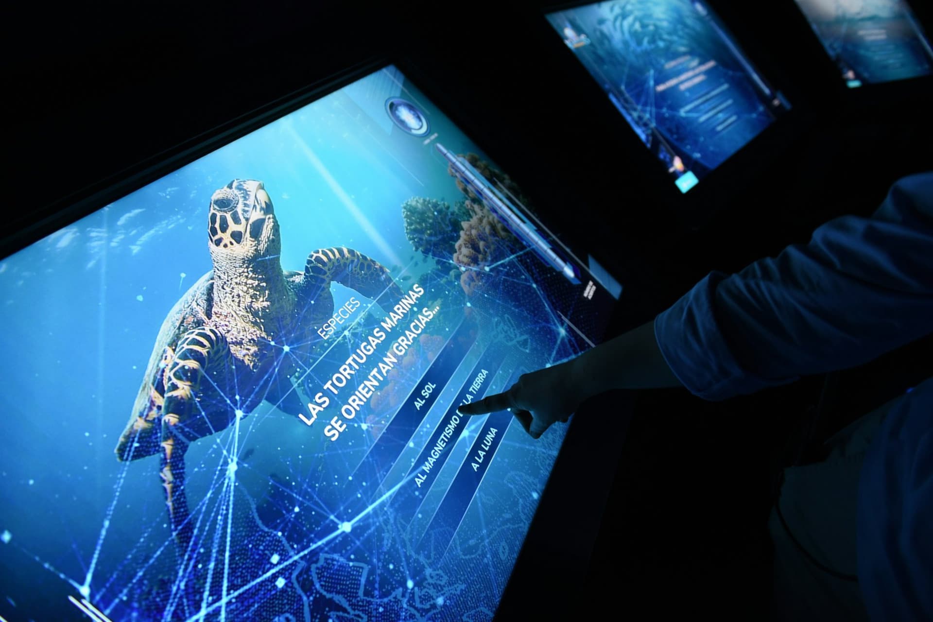 Atlantis Aquarium Madrid Ticket - تصویر 7
