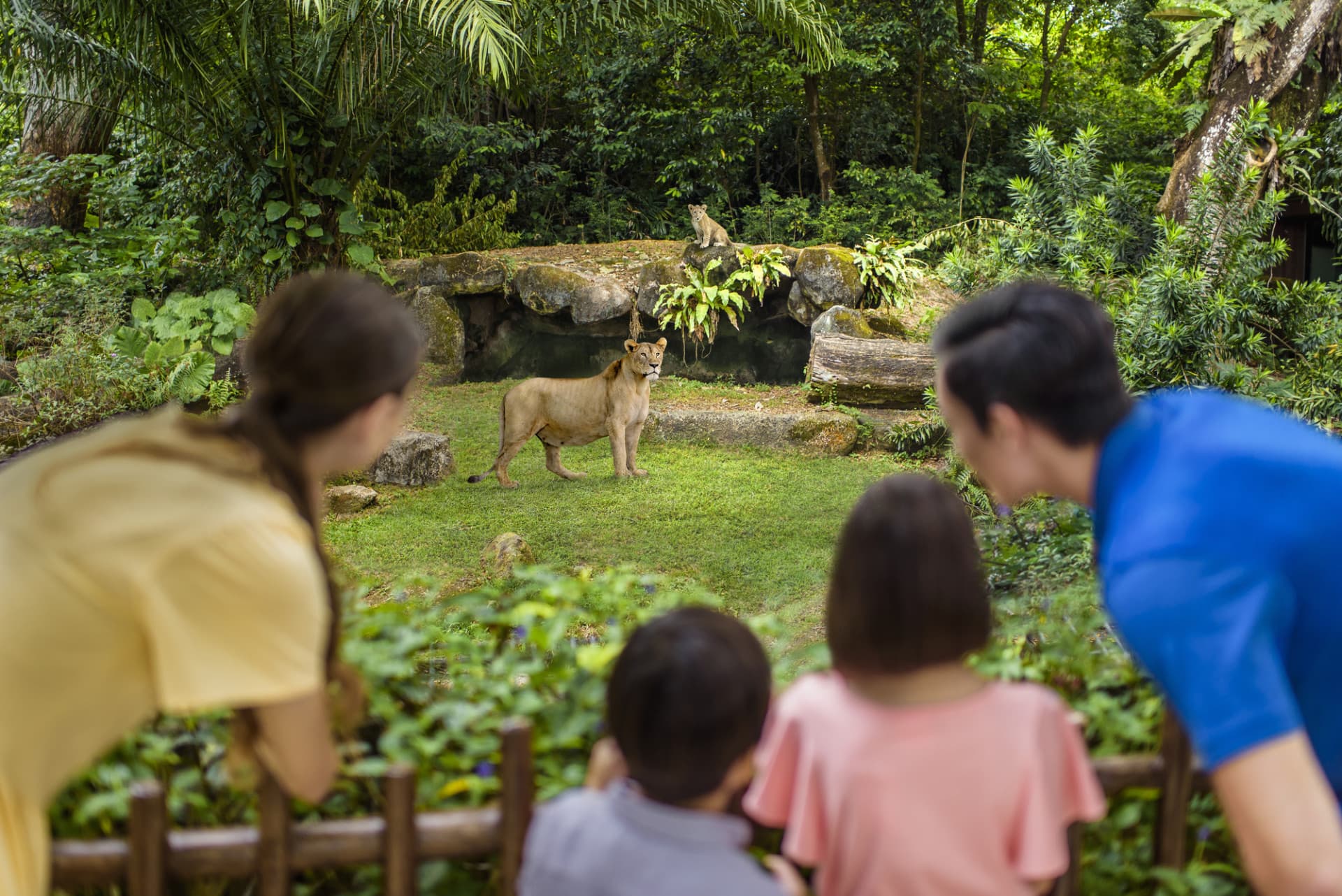 COMBO: Singapore Zoo + River Wonders Ticket - تصویر 9