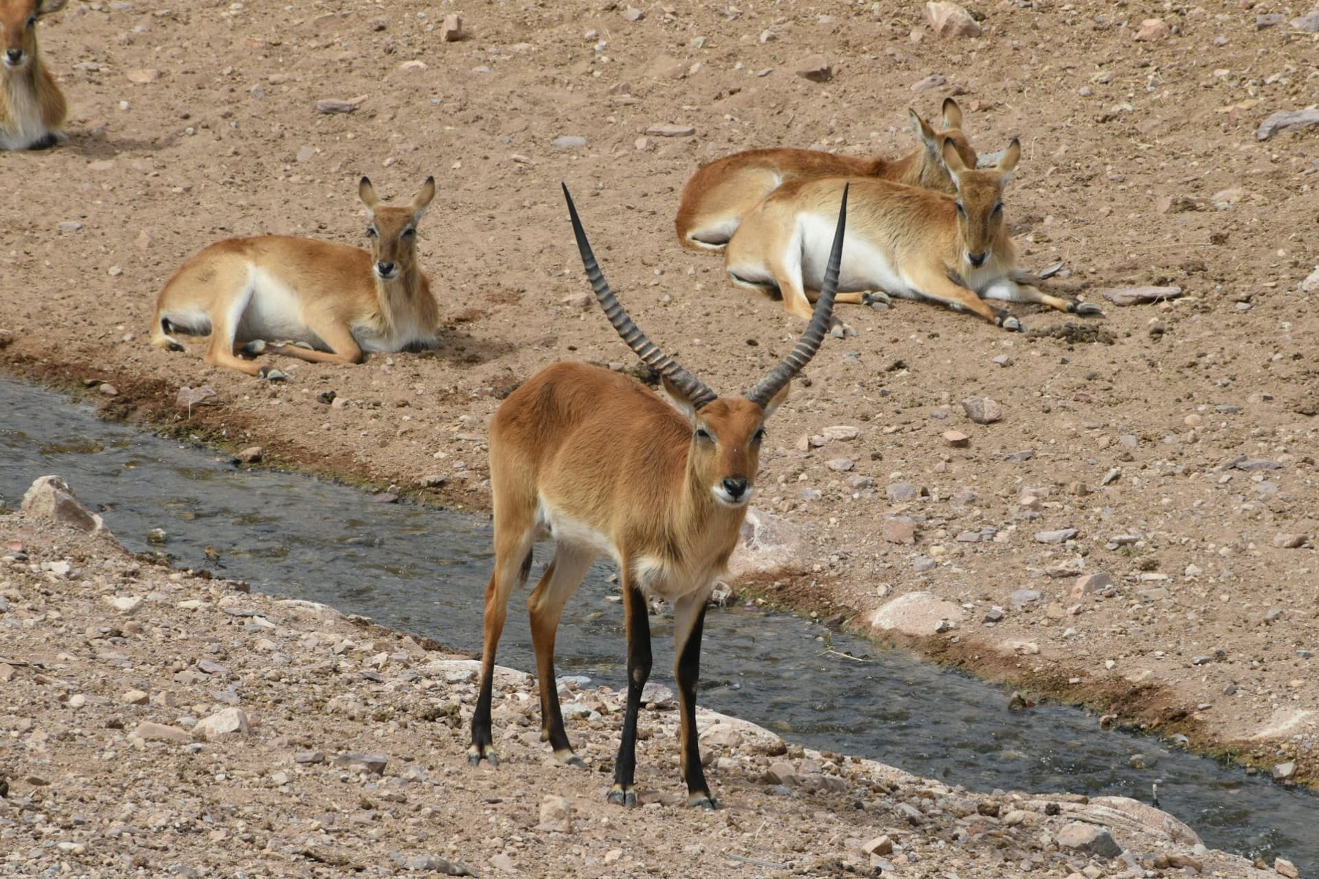 Terra Natura Murcia Ticket - تصویر 8