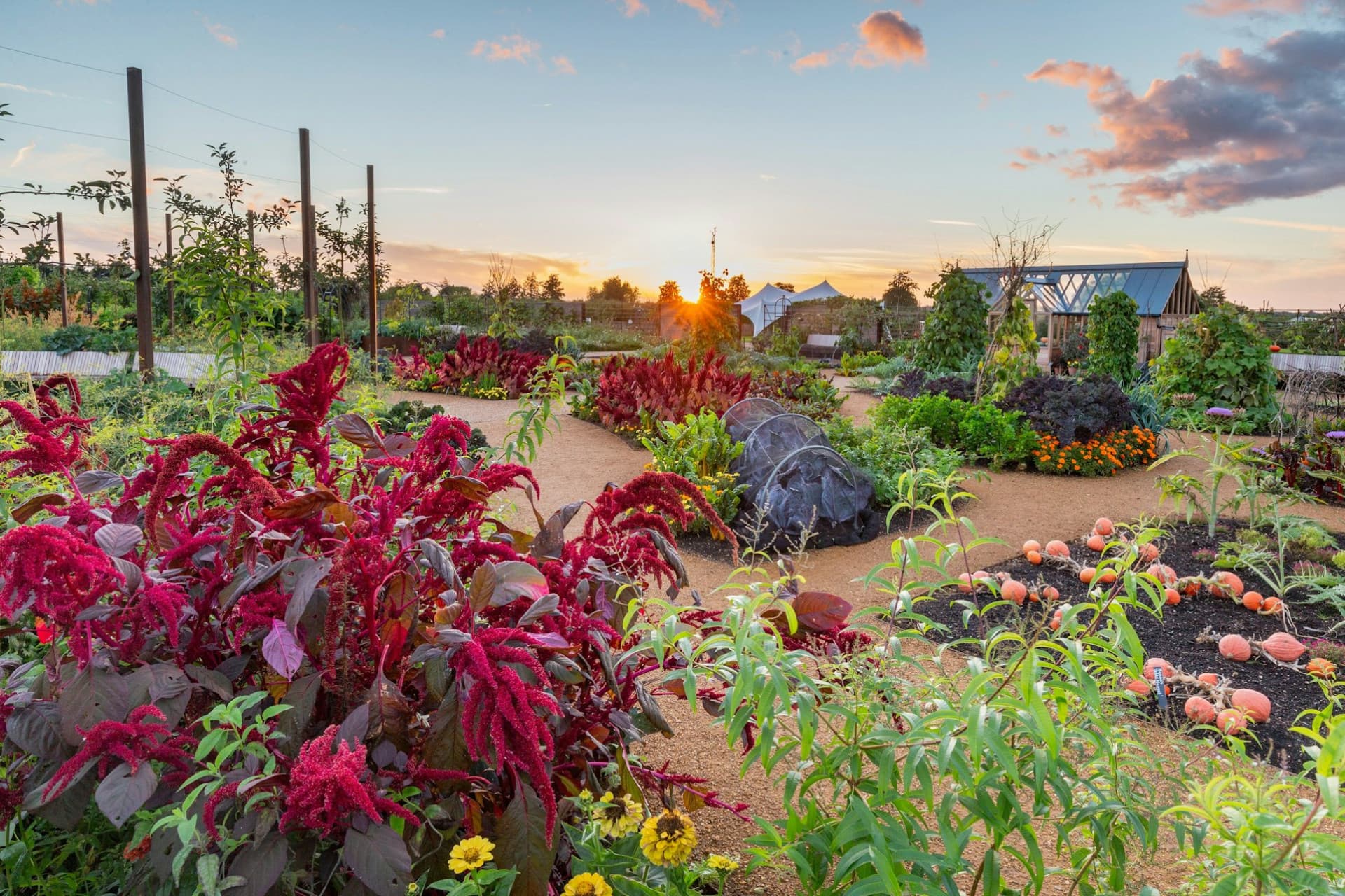 RHS Garden Wisley Ticket - تصویر 4