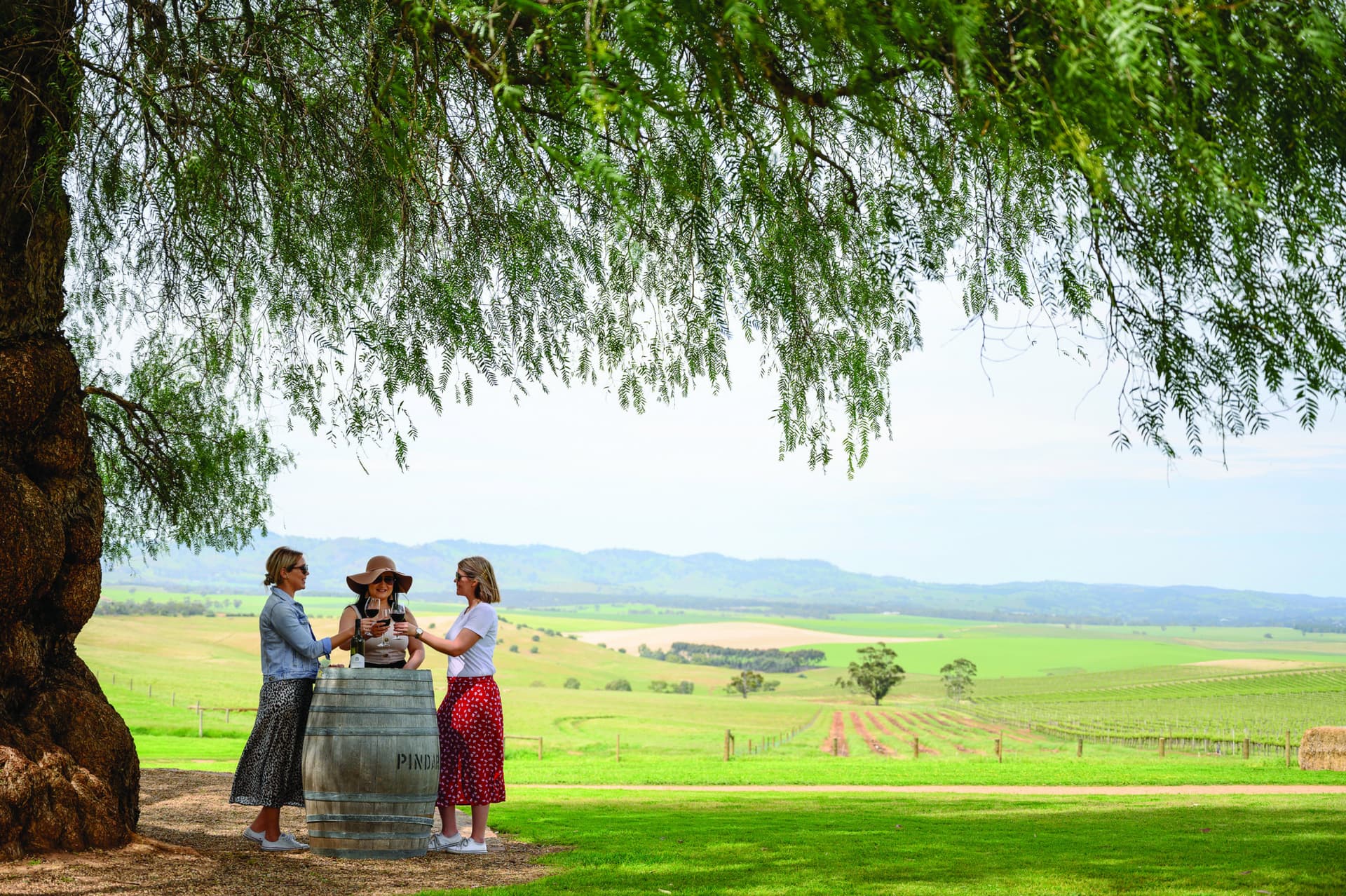 Barossa Valley Wineries and Hahndorf Tour - تصویر اصلی