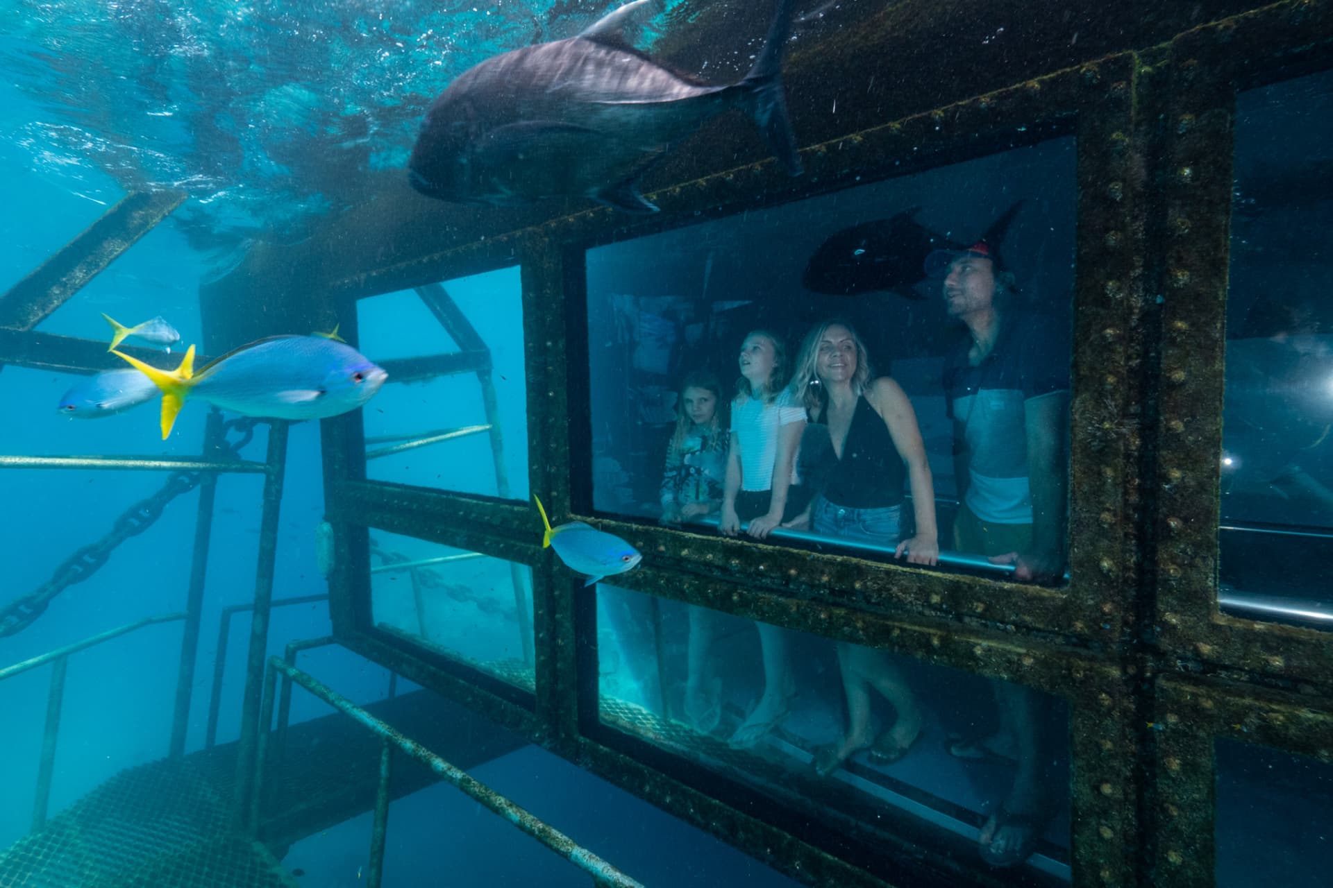 Reef Magic Pontoon Tour from Cairns - تصویر 4