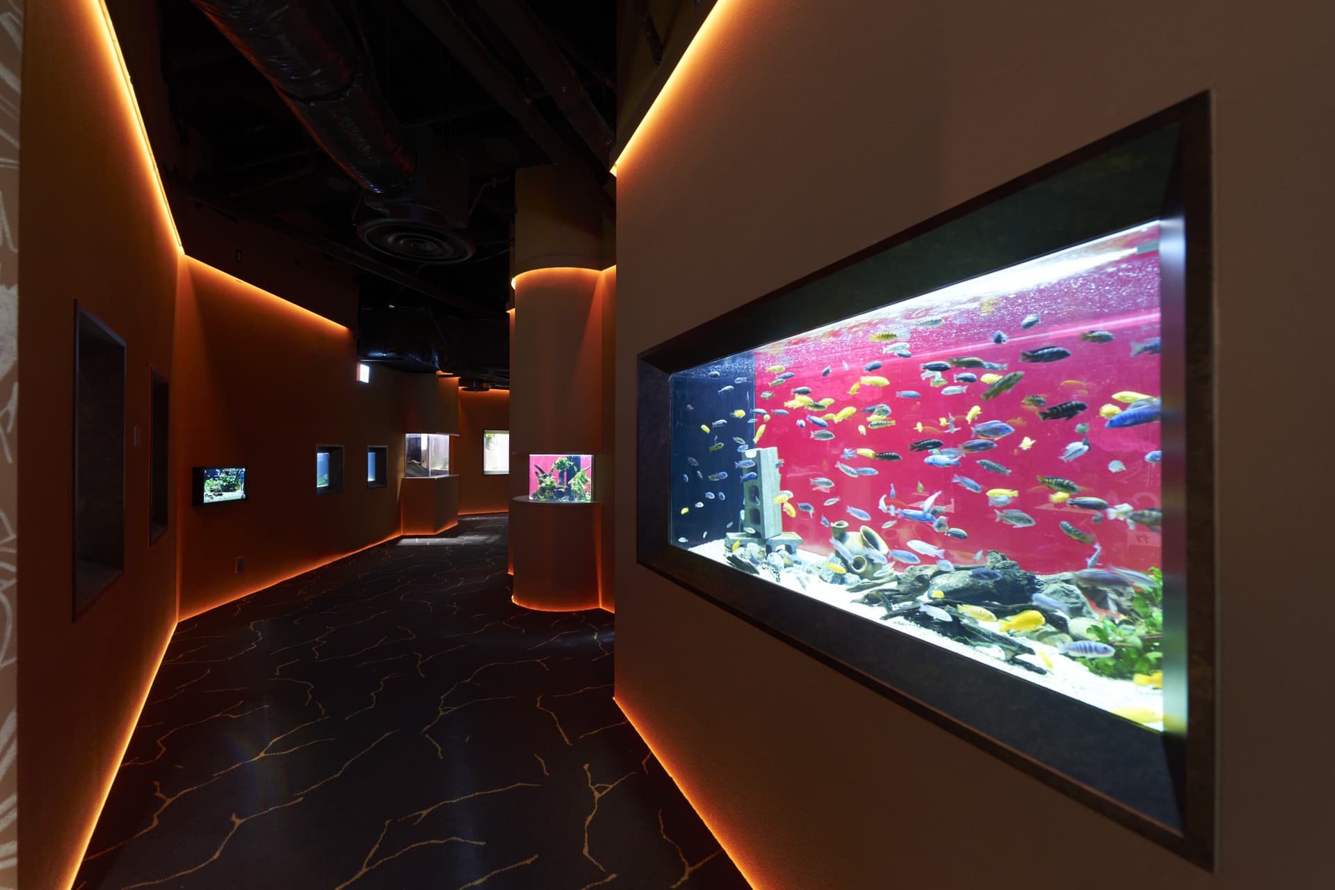 Kawasaki Aquarium Ticket - تصویر 3
