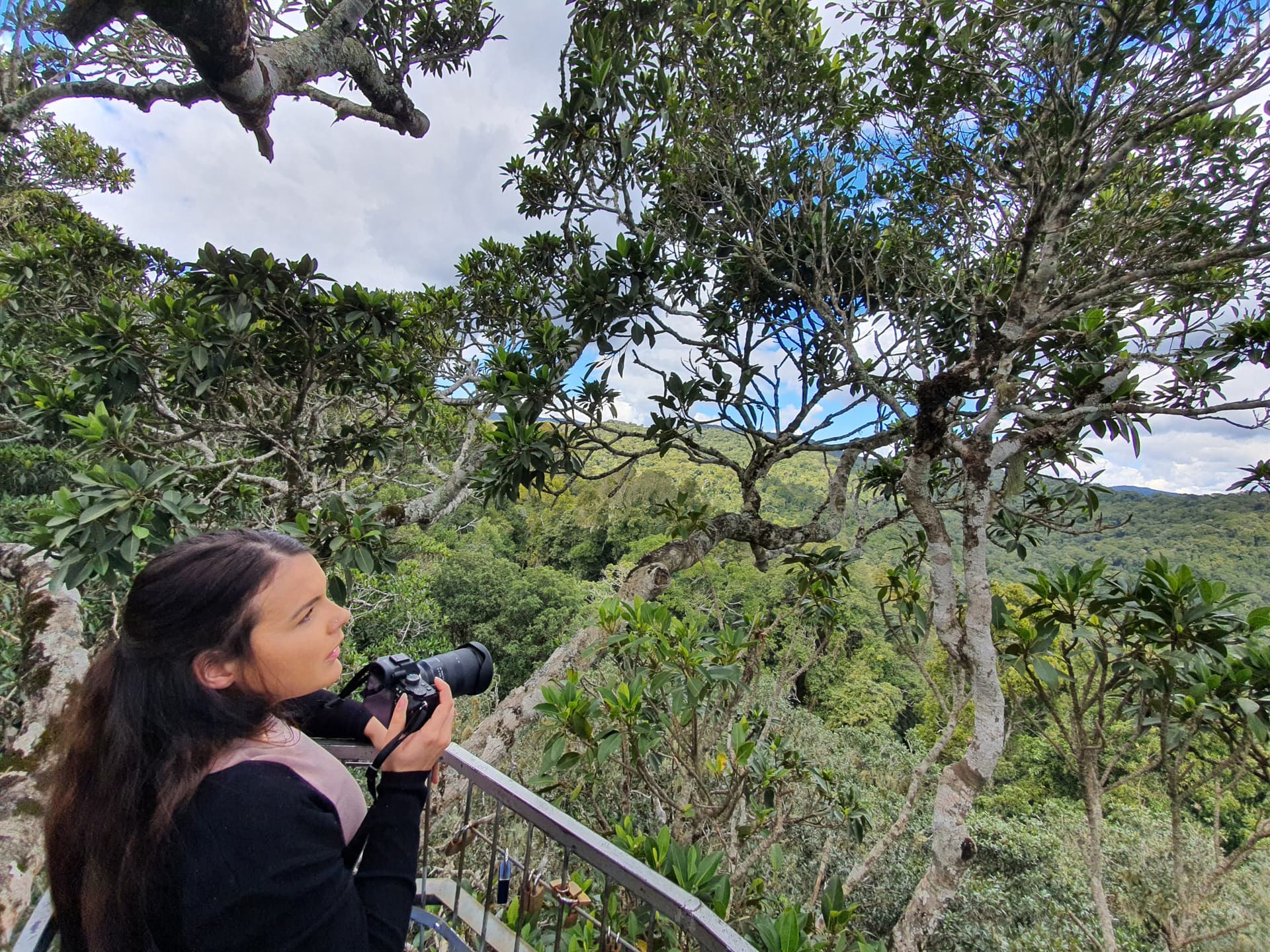 Lamington National Park Tour: O'Reilly's Rainforest Retreat and Canungra Valley Vineyard - تصویر 5