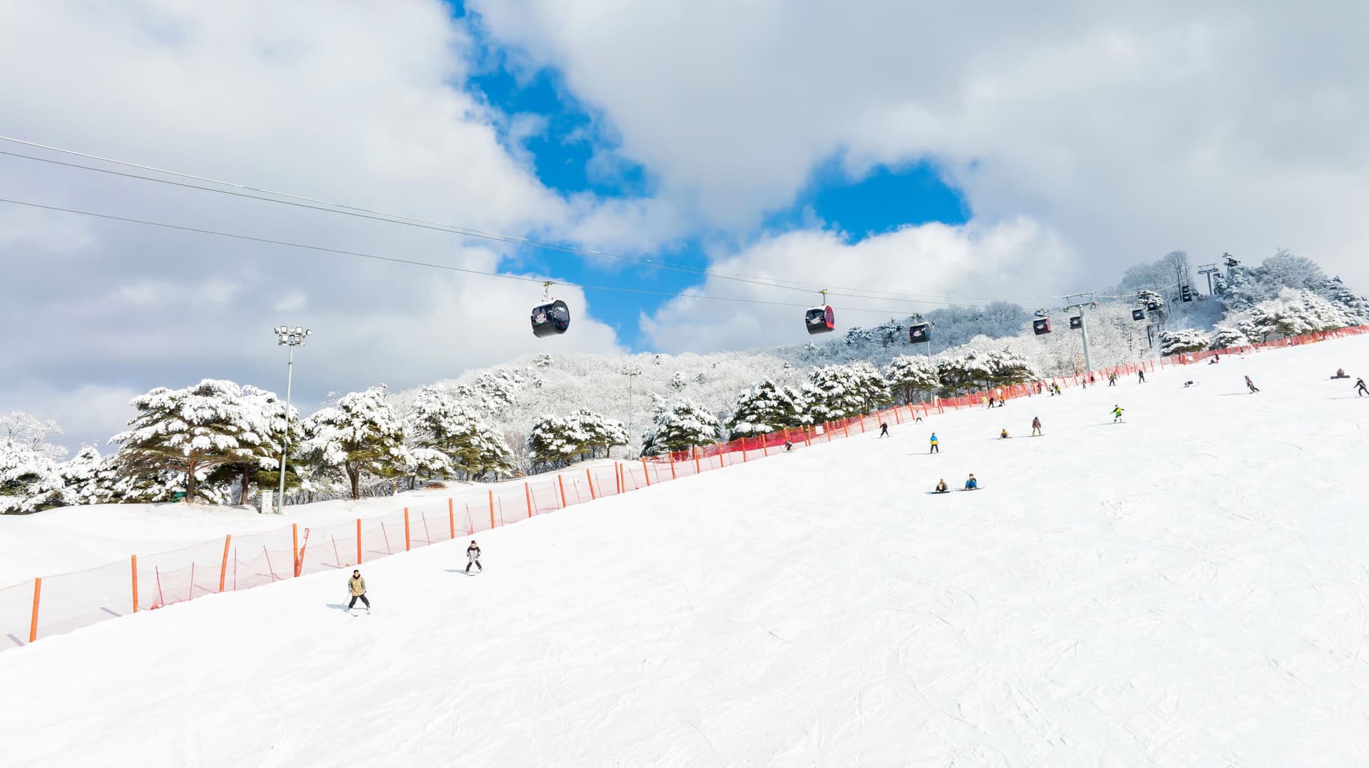 Vivaldi Park Winter Ski and Eobi Ice Valley Day Tour from Seoul - تصویر 3