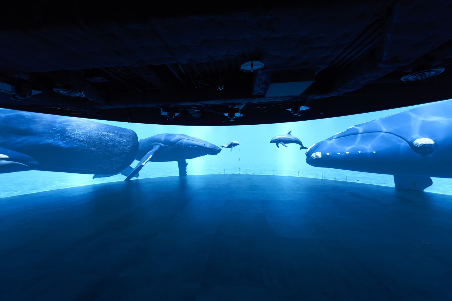Kawasaki Aquarium Ticket - تصویر 13