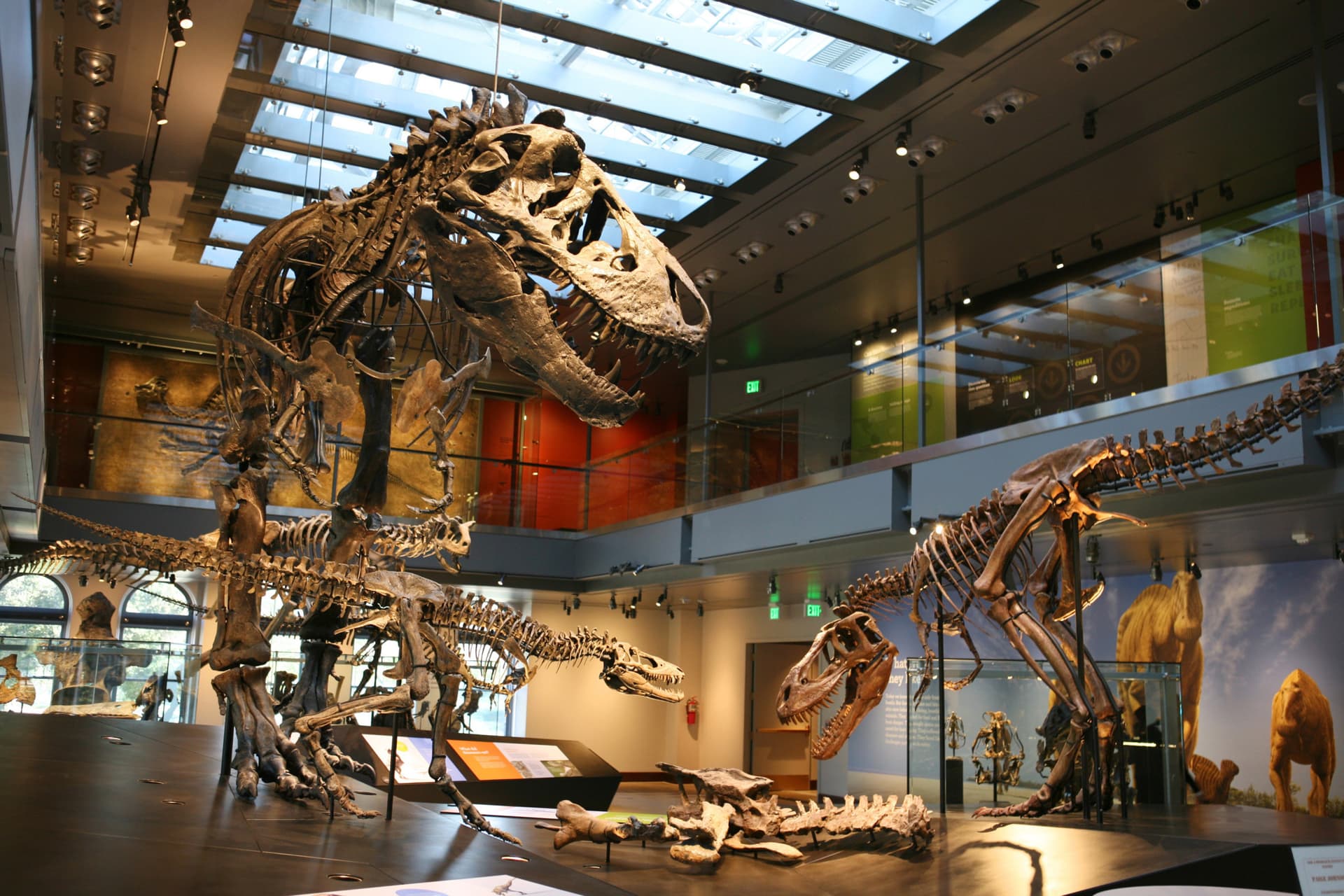 Go City Los Angeles Essentials Pass: 3 Attractions - تصویر 6