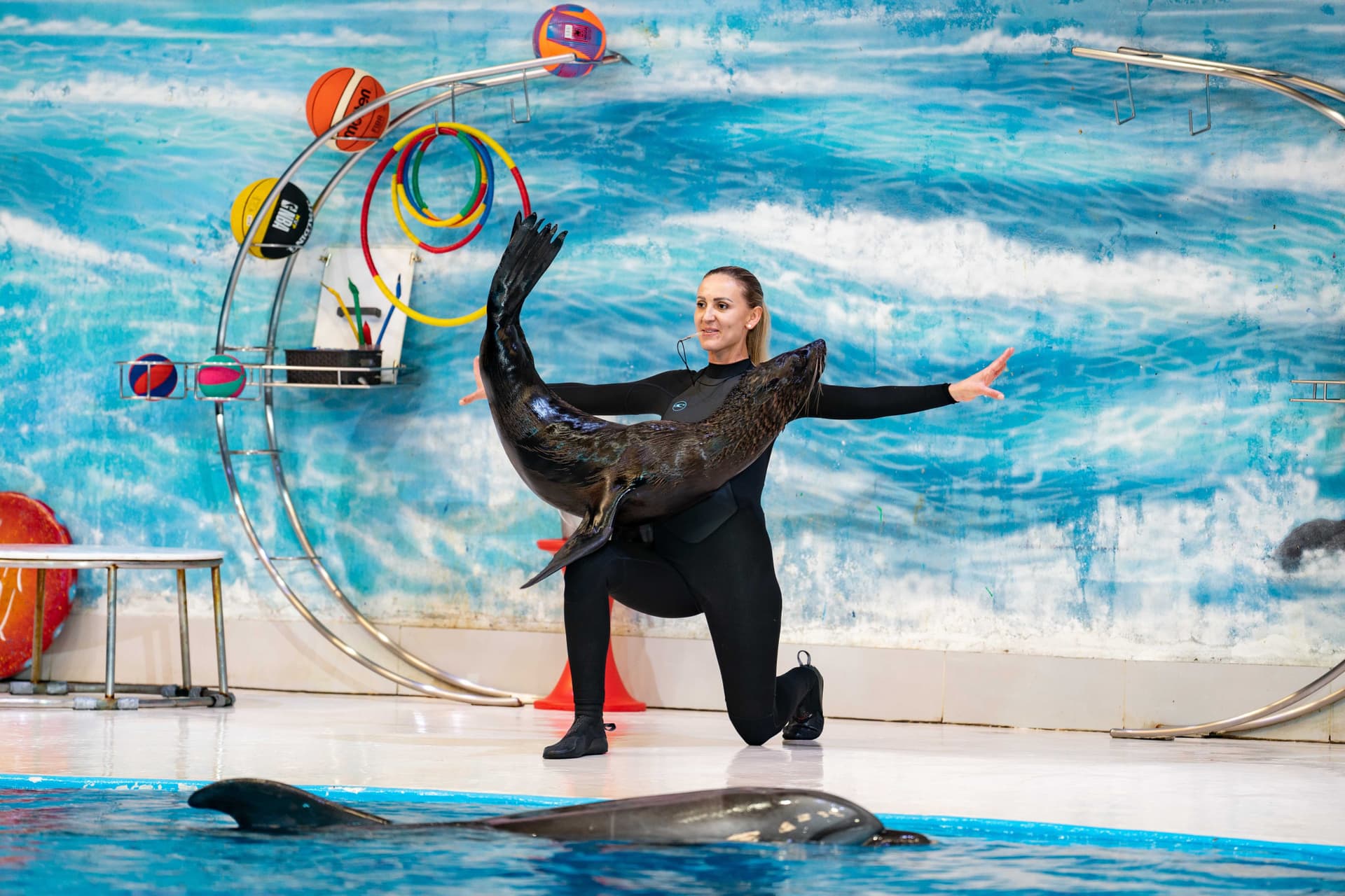 Dubai Dolphinarium Ticket - تصویر 9