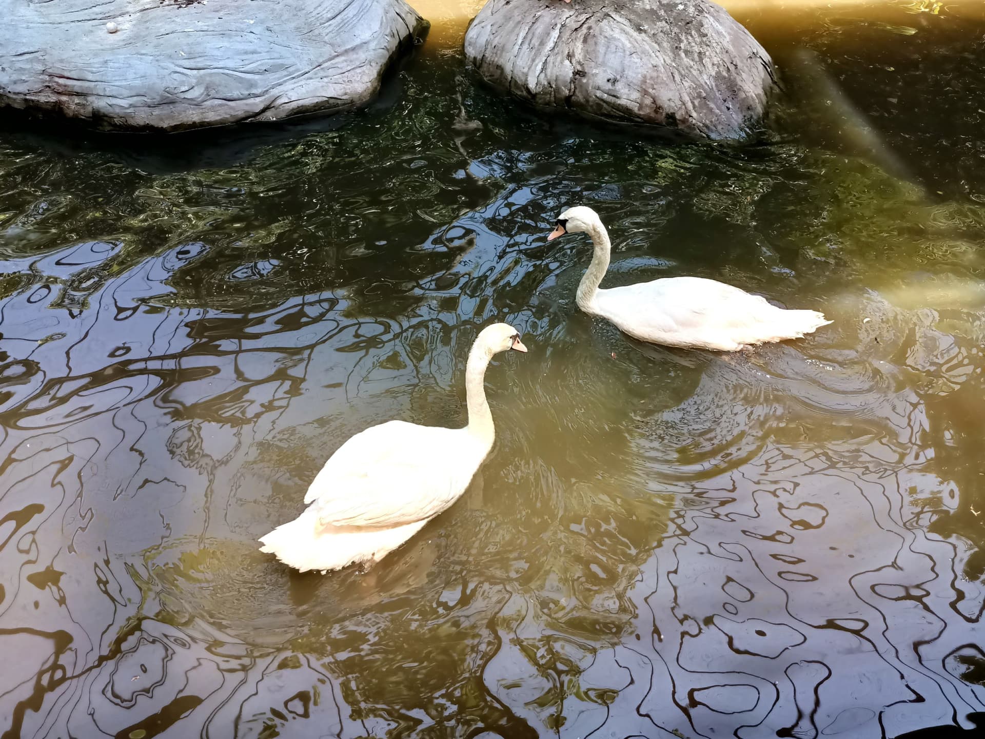 Langkawi Wildlife Park - تصویر 13