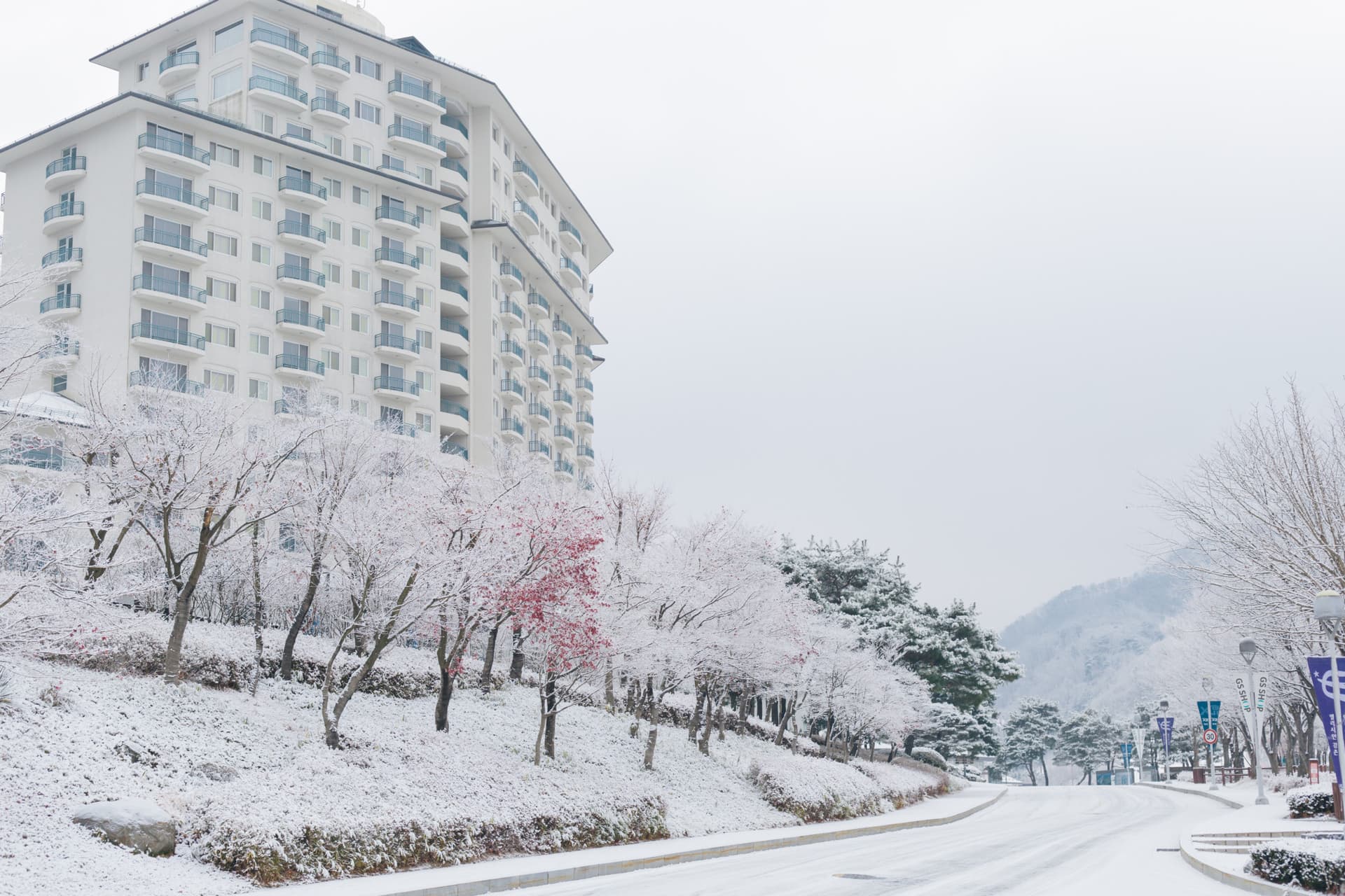 Elysian Gangchon Ski Resort and Eobi Ice Valley Full-Day Tour from Seoul - تصویر 11