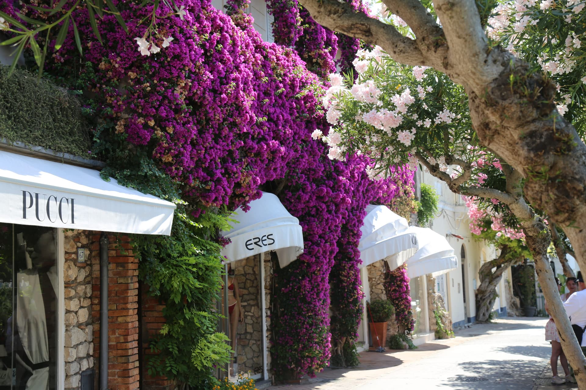 Tour of Capri & Anacapri with Blue Grotto from Naples - تصویر 8