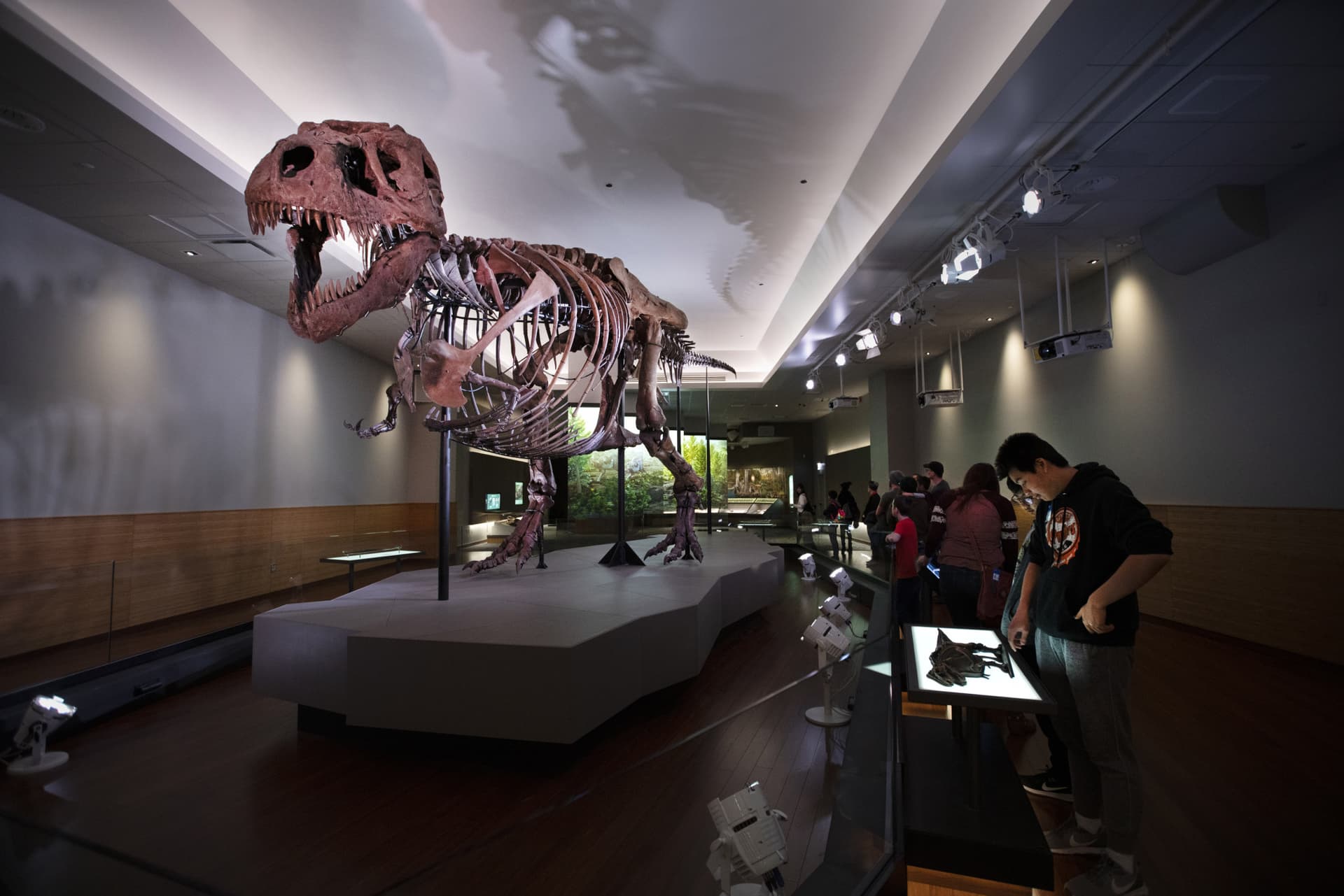 Go City Chicago Essentials Pass: 3 Attractions - تصویر 13