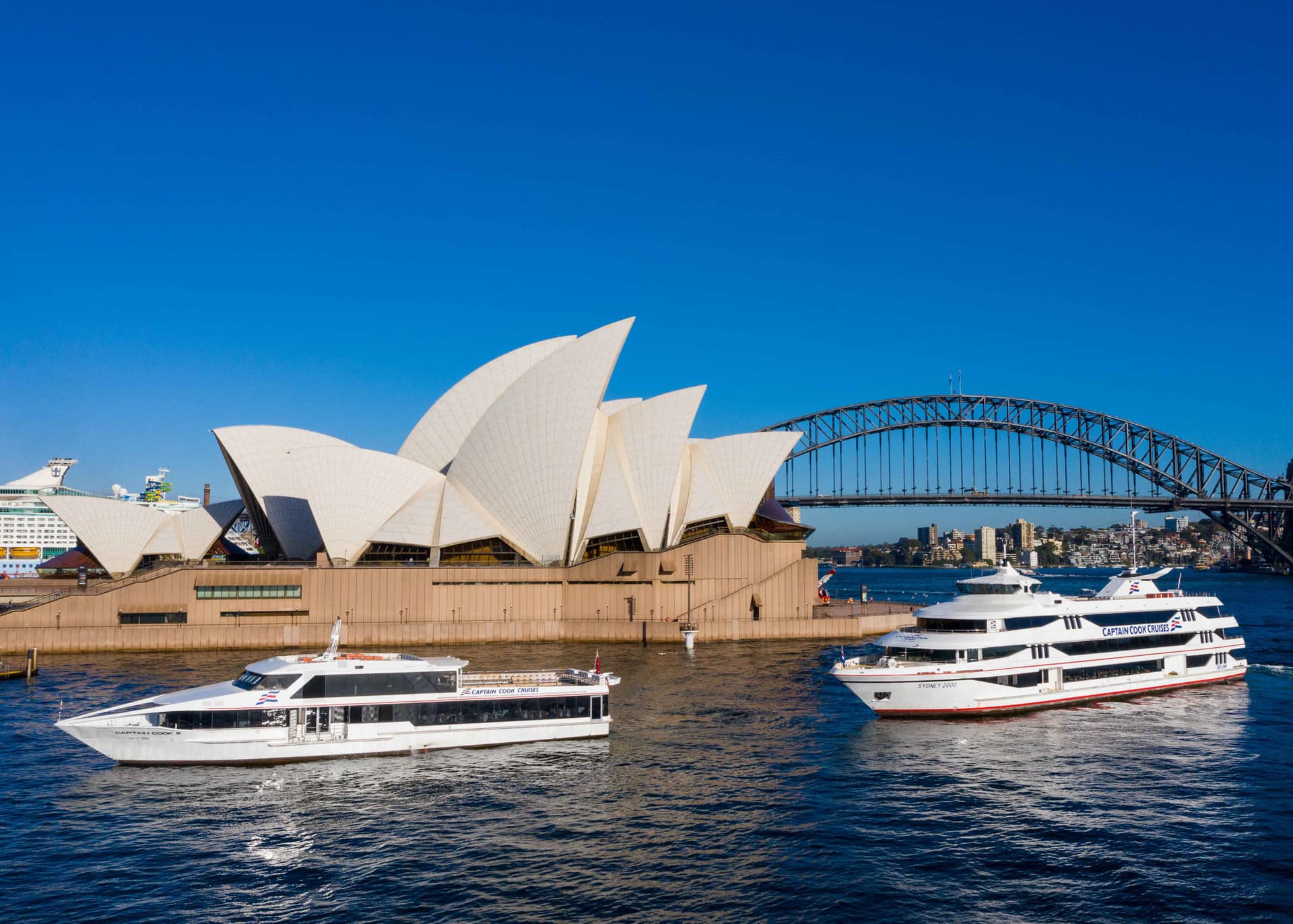 Sydney Harbour Whale Watching Cruise aboard Captain Cook Cruises - تصویر 7