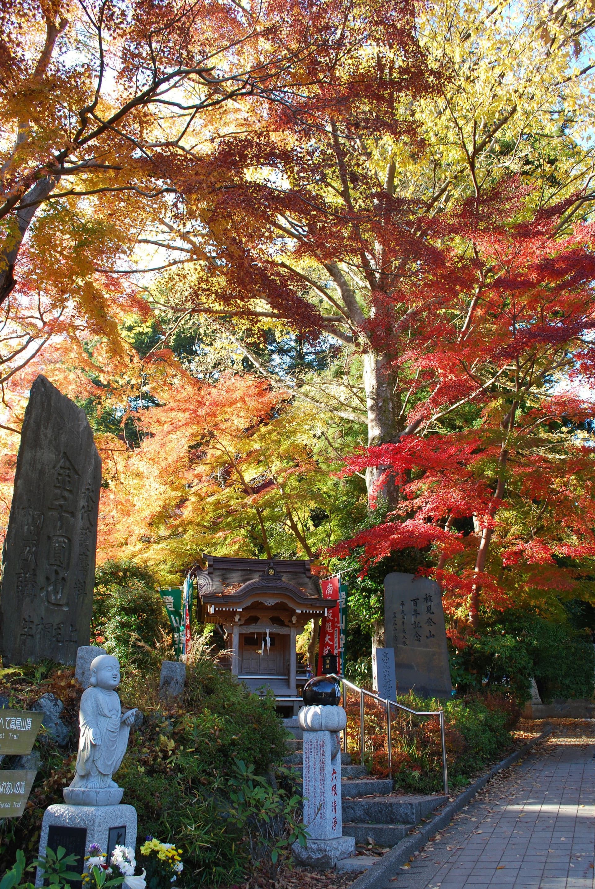 Greater Tokyo Pass - تصویر 11