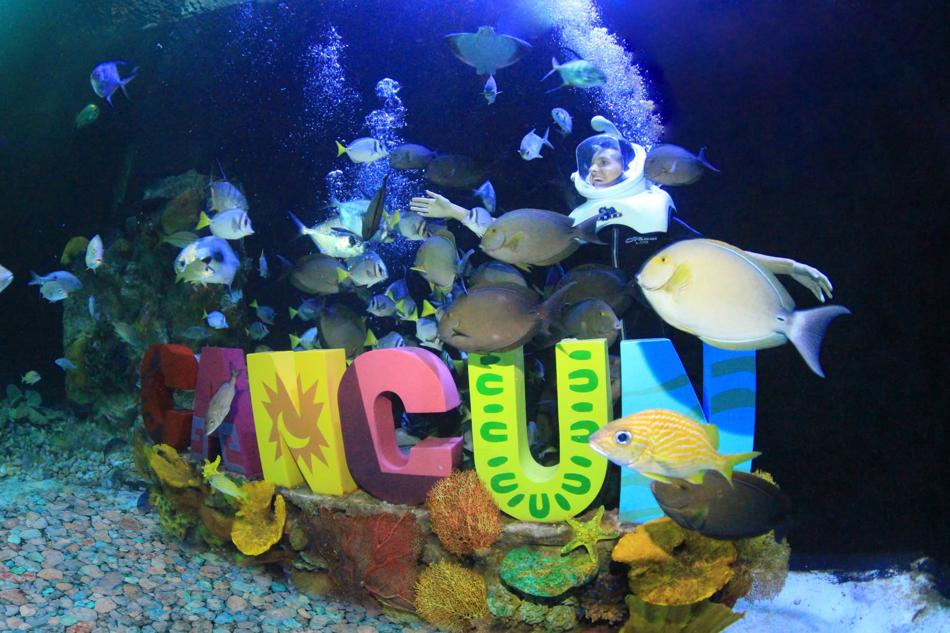 Go City Cancun Essentials Pass: 3 Attractions - تصویر 18