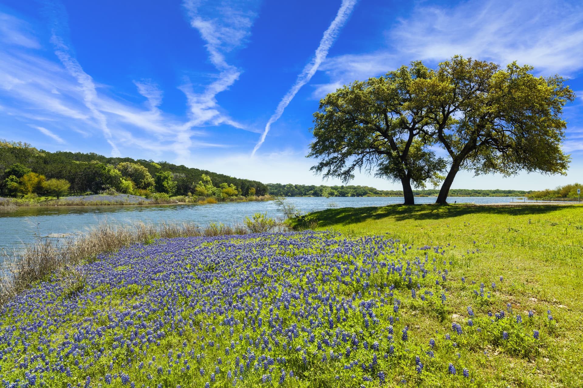 Go City San Antonio Essentials Pass: 3 Attractions - تصویر 11