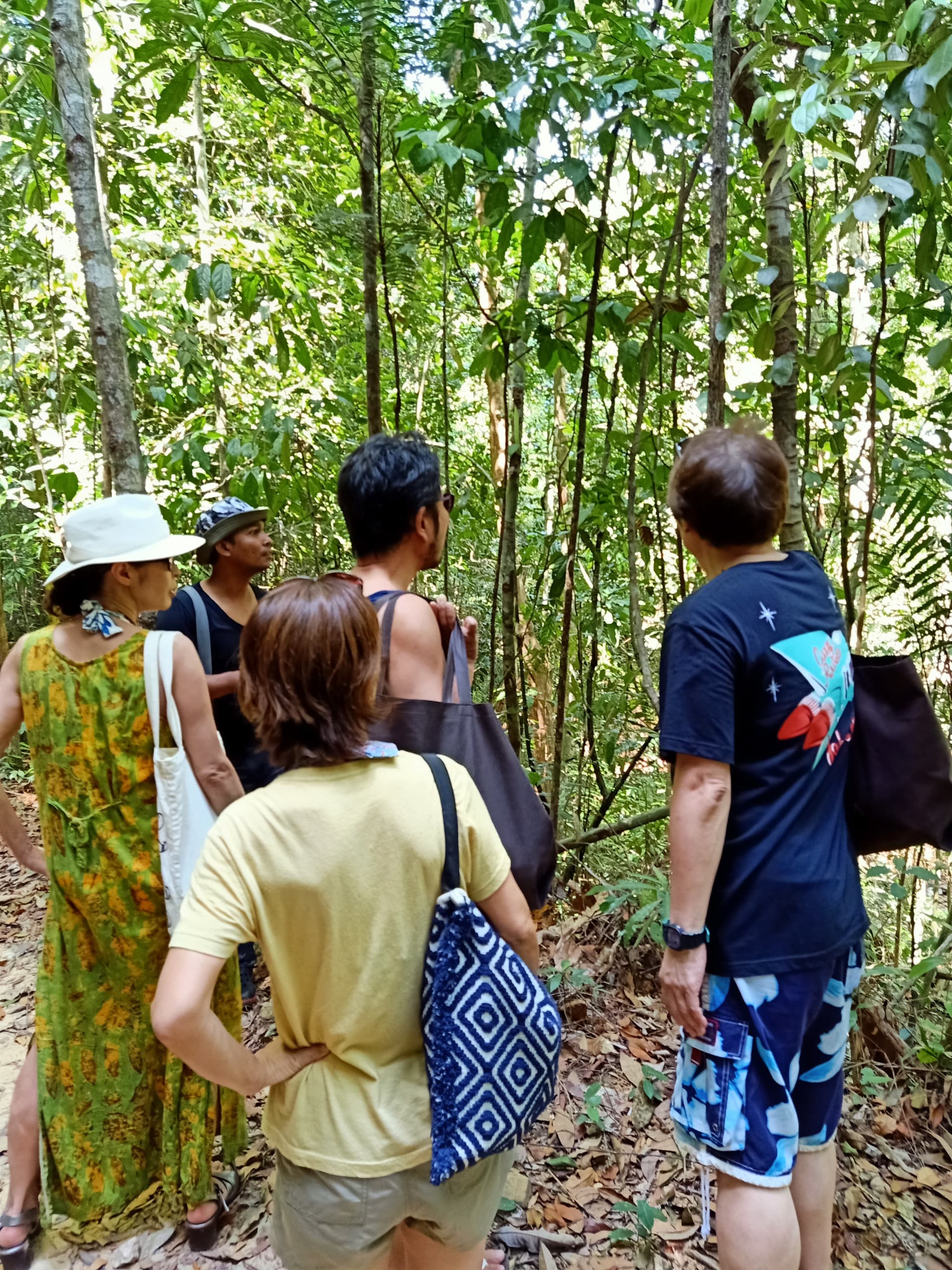 Langkawi Morning Rainforest Walking Tour - تصویر 6