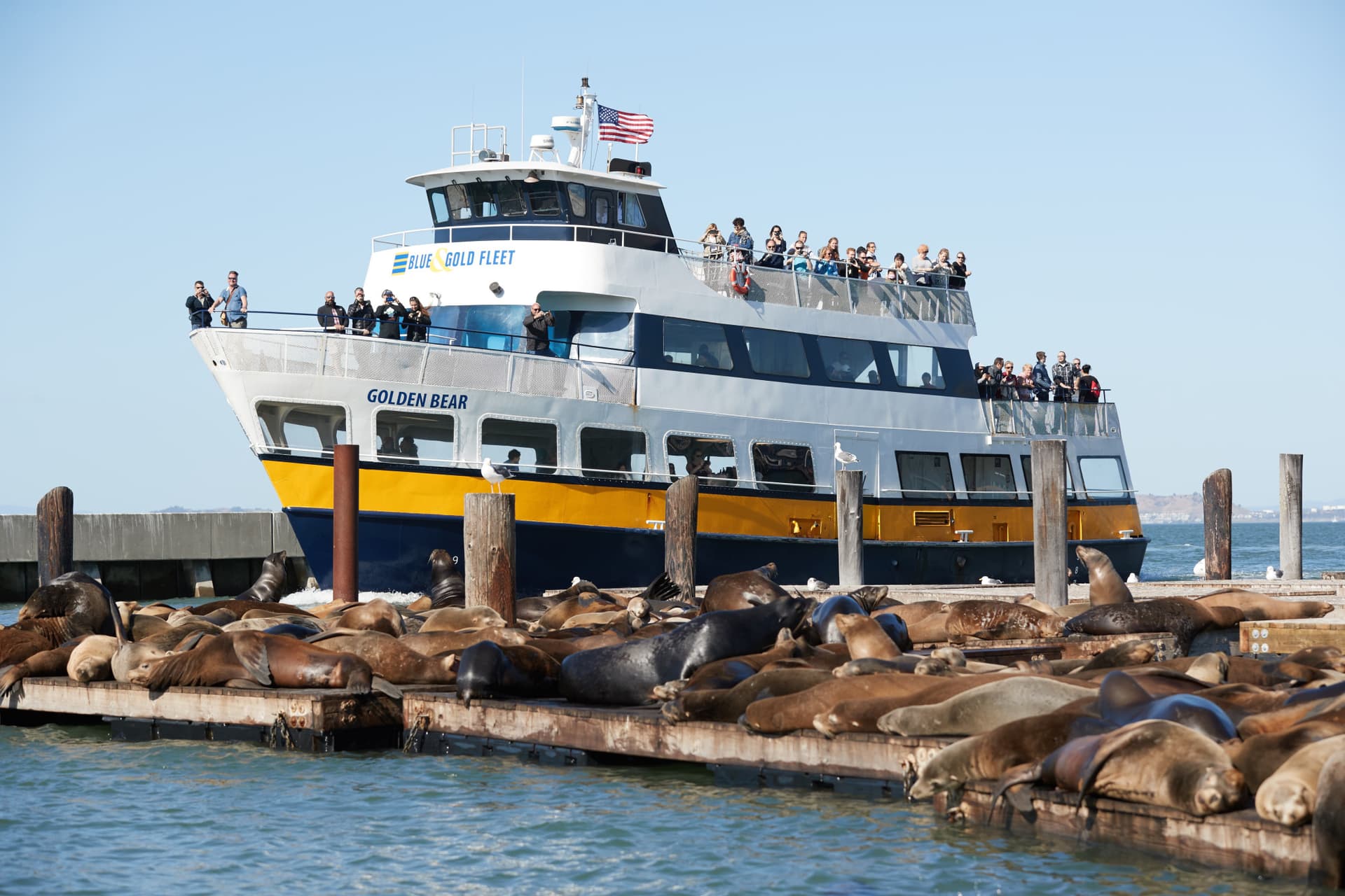 Go City San Francisco Explorer Pass: Save up to 50% on Attractions - تصویر 34