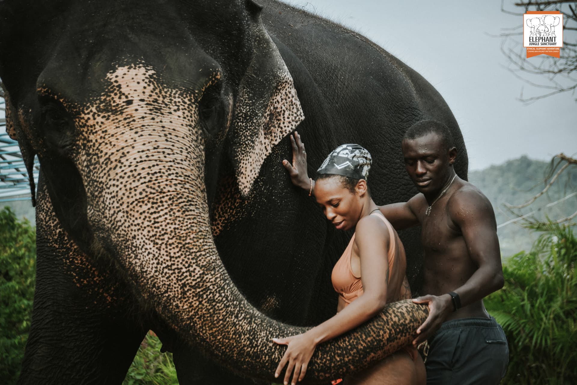 Elephant Jungle Sanctuary Phuket - تصویر 16