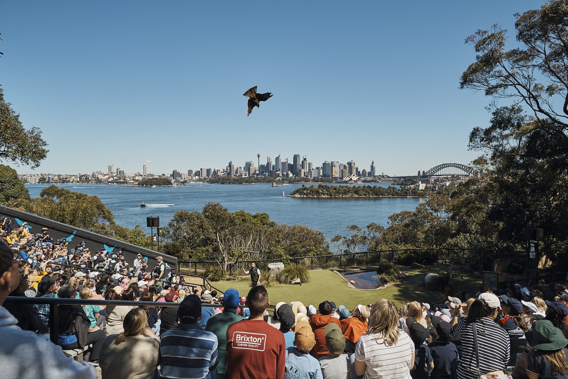 Go City Sydney All-Inclusive Pass: Save up to 50% on Attractions - تصویر 11