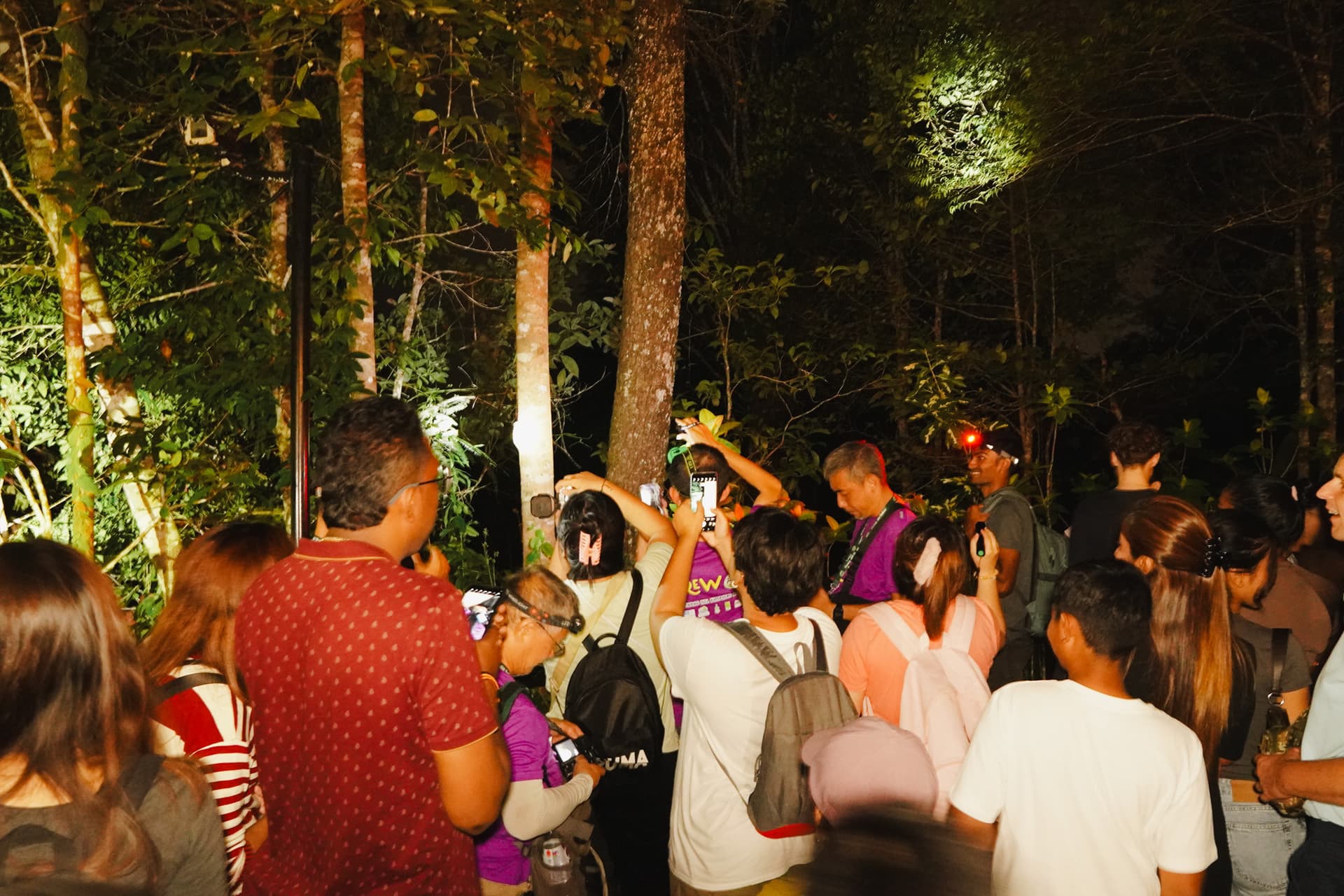 The Habitat Penang Hill Ticket - تصویر 27