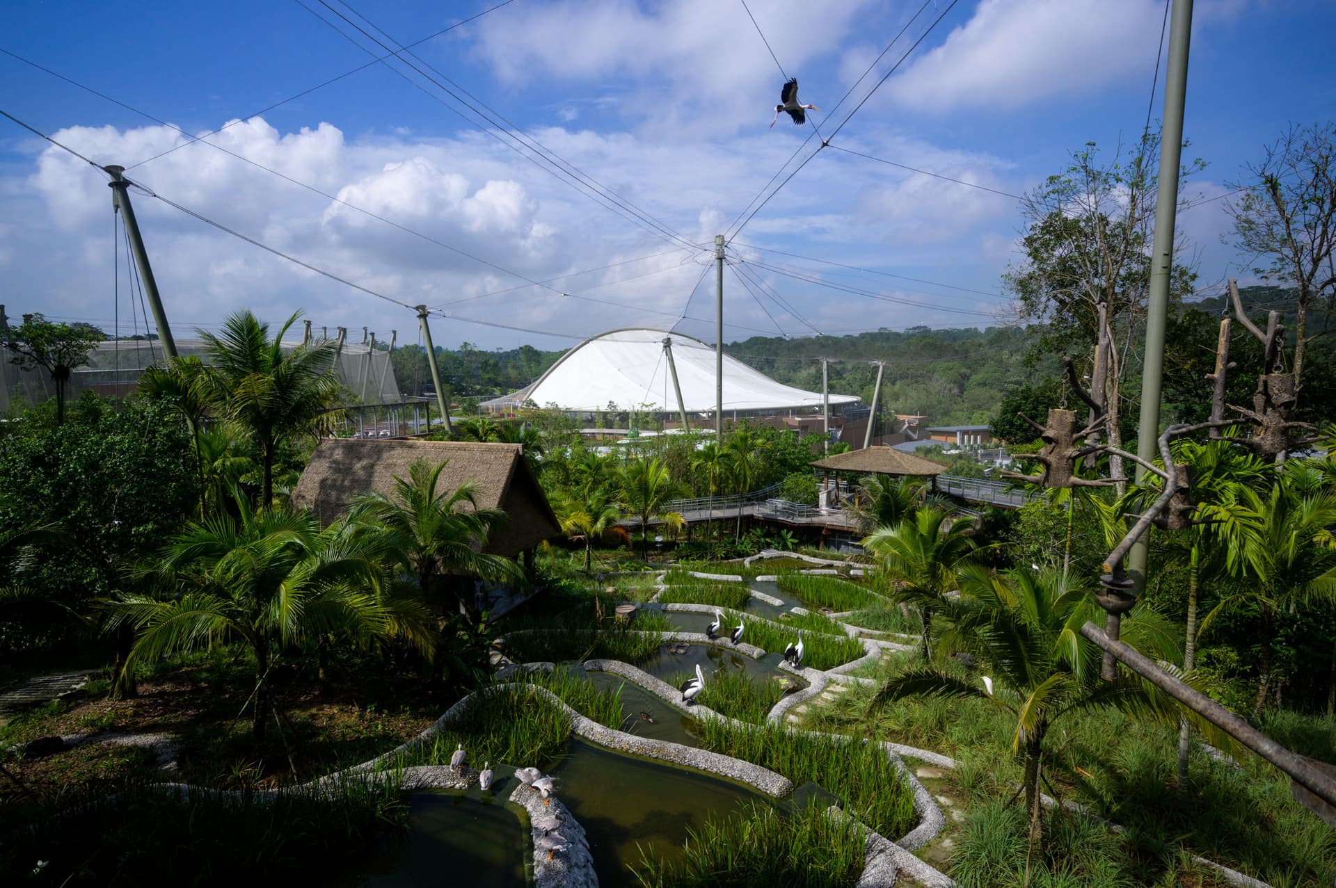 COMBO: River Wonders + Bird Paradise Ticket - تصویر 5